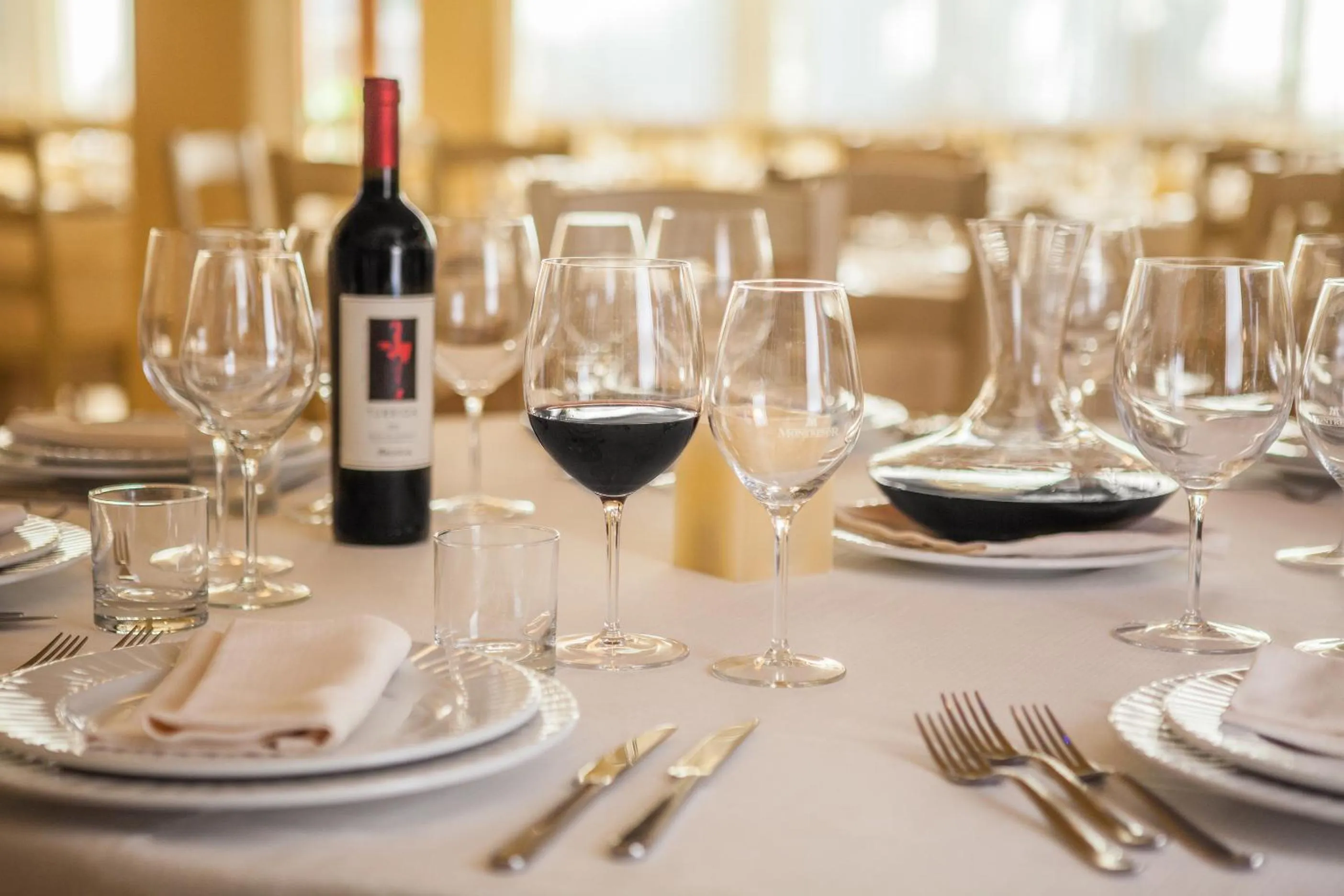 Business facilities in Hotel Raffael PHG