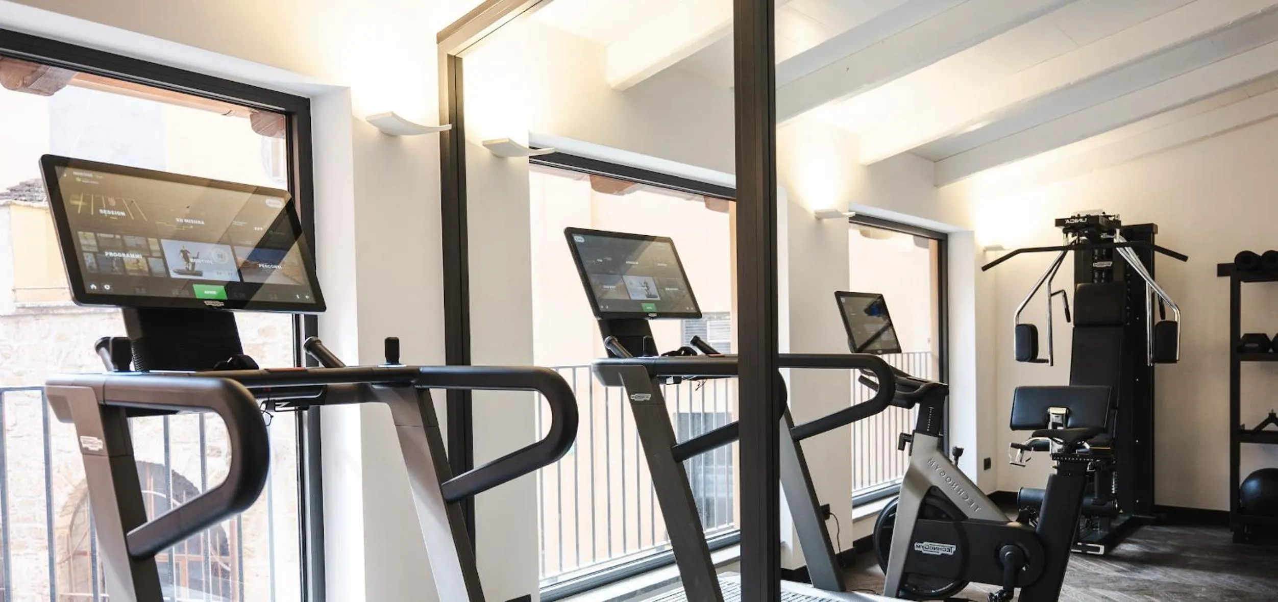 Fitness centre/facilities in Emme Palace Hotel & Spa