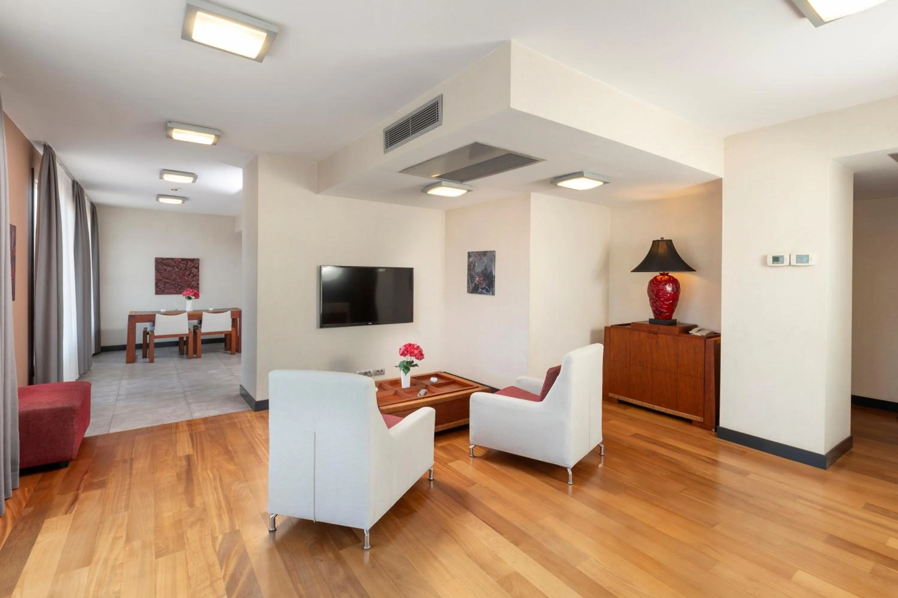 TV and multimedia in Nippon Hotel