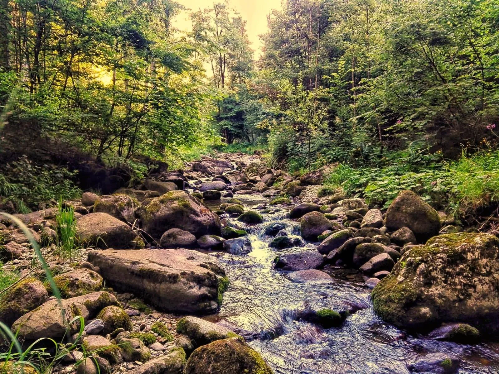 Fishing in Orobie Alps Resort