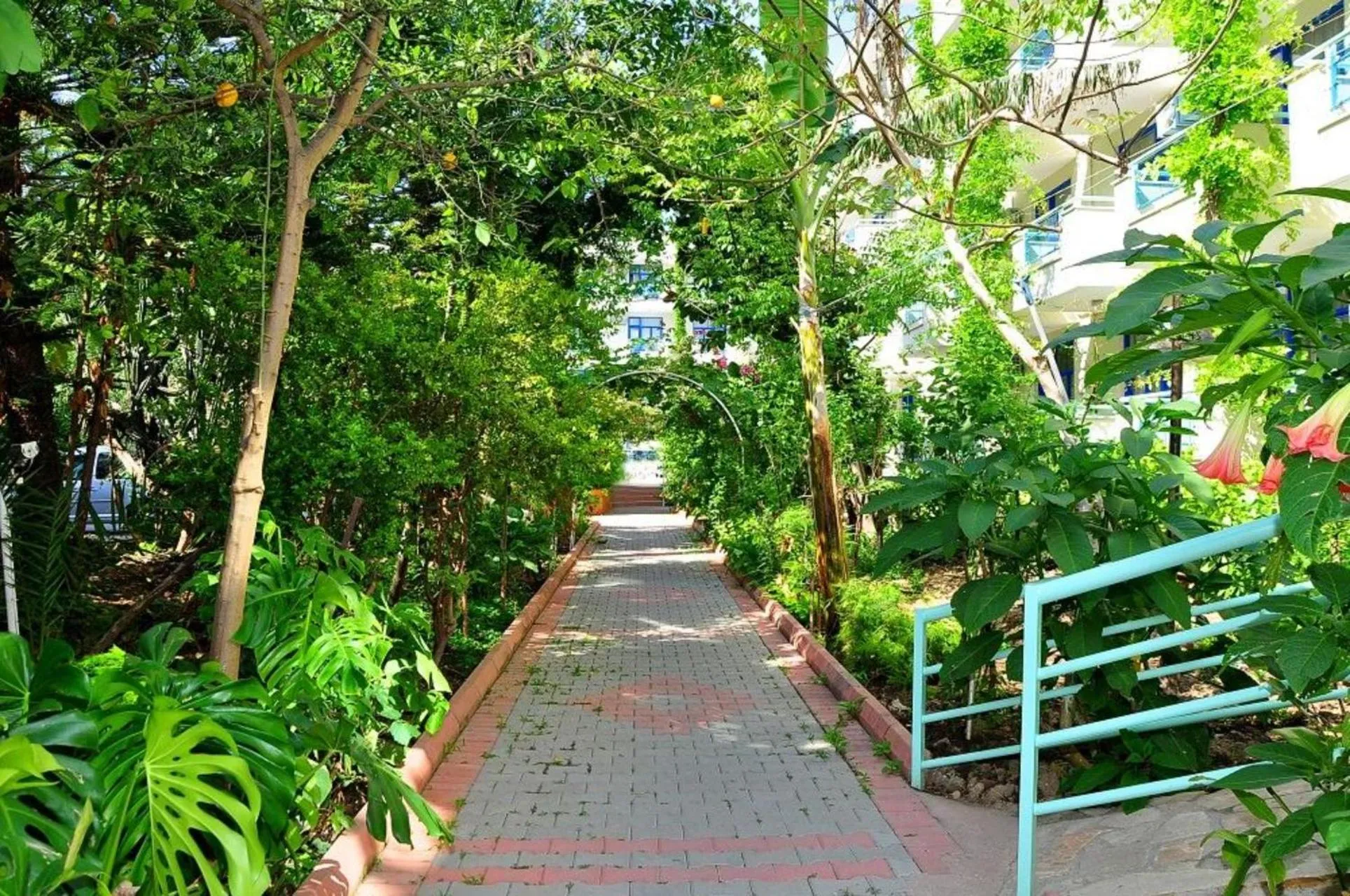 Garden in Merhaba Hotel