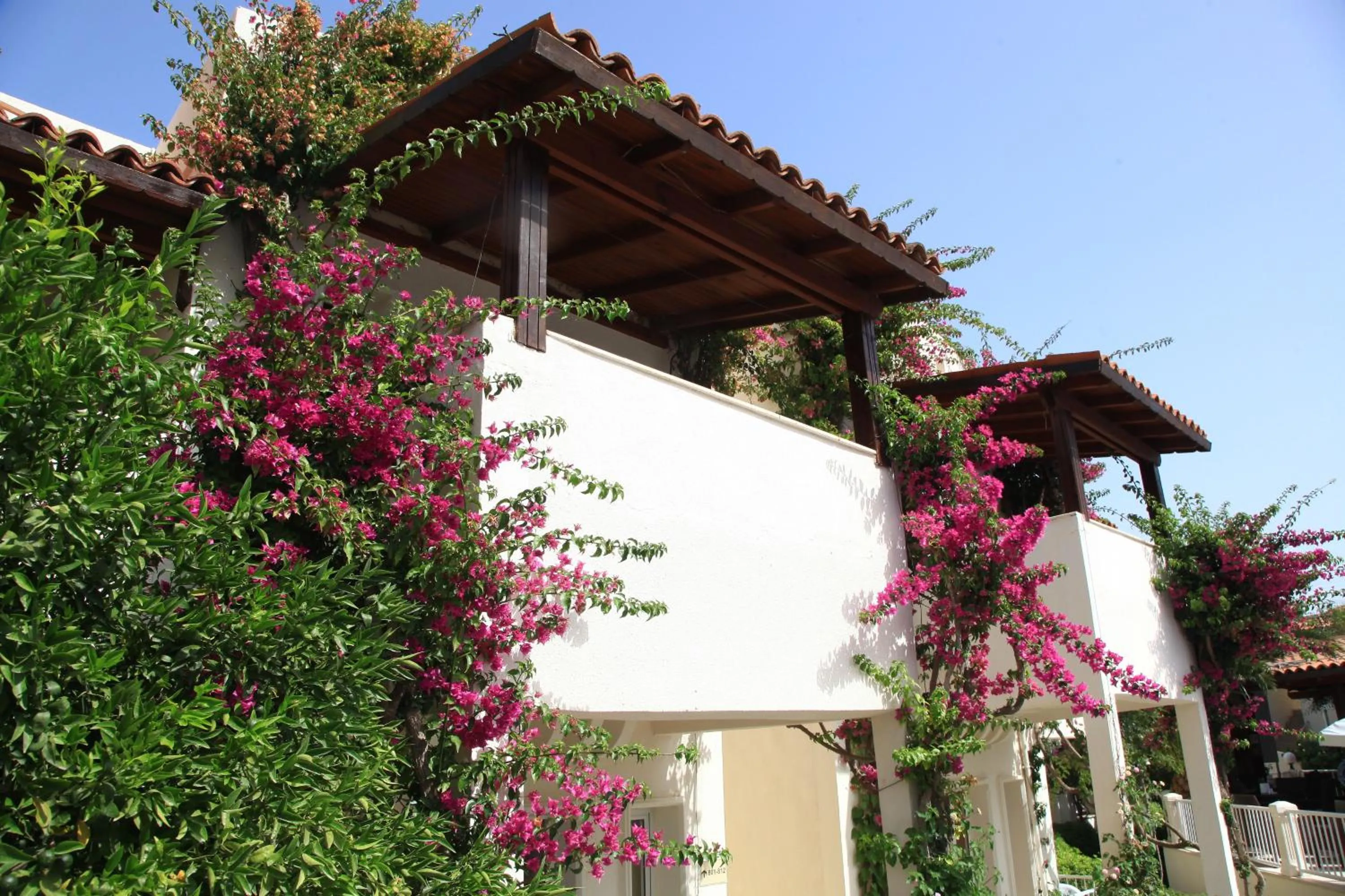 Day in Summer Garden Suites Beach Hotel