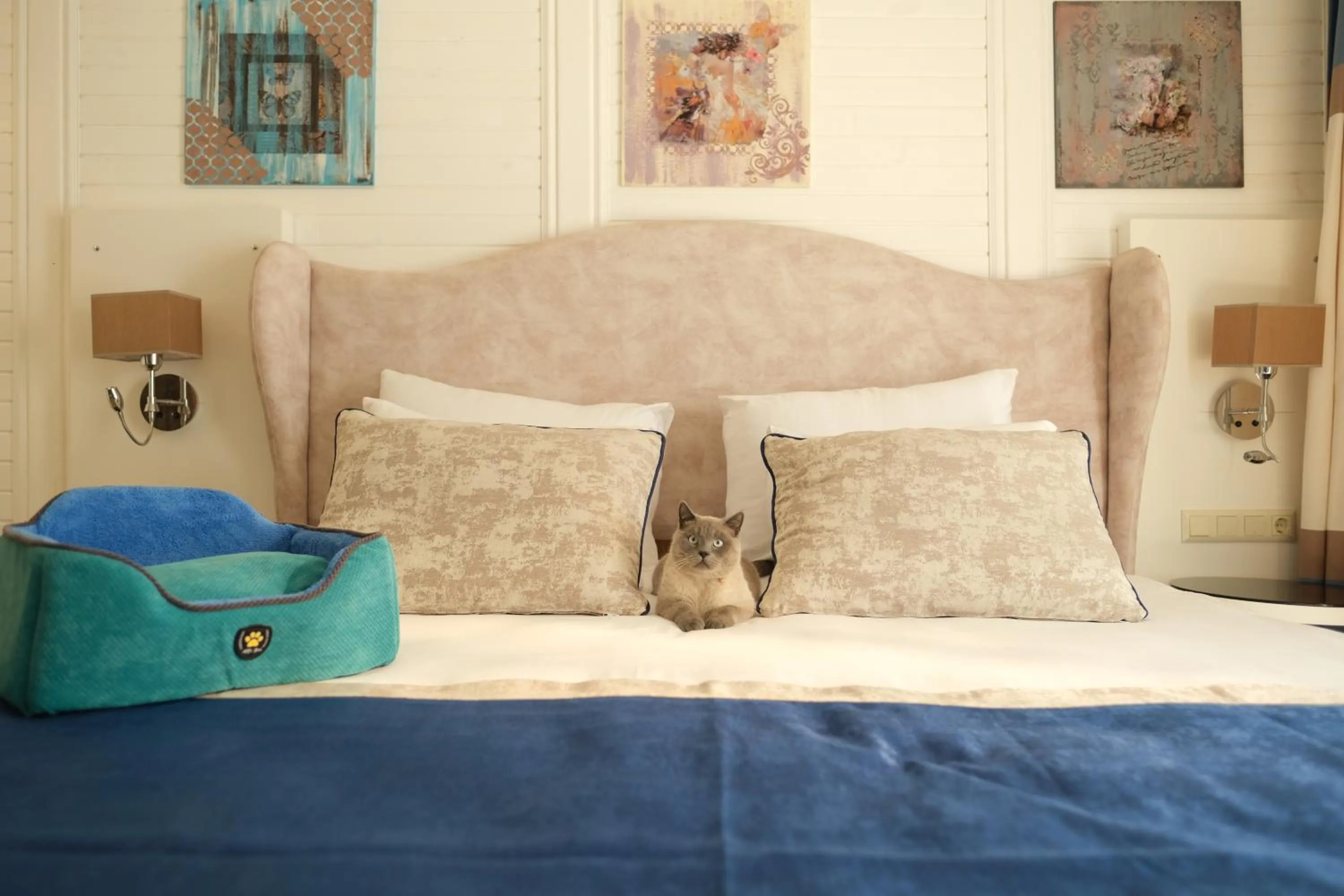 pet friendly, Bed in Nirvana Dolce Vita - Ultra All Inclusive