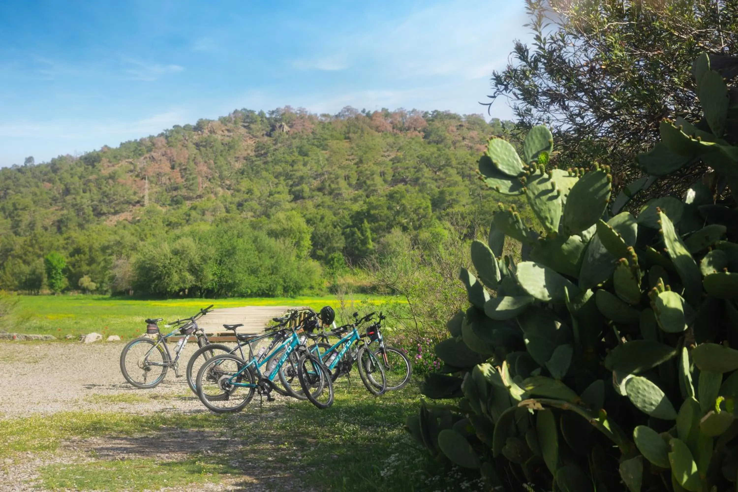 Cycling in Nirvana Dolce Vita - Ultra All Inclusive