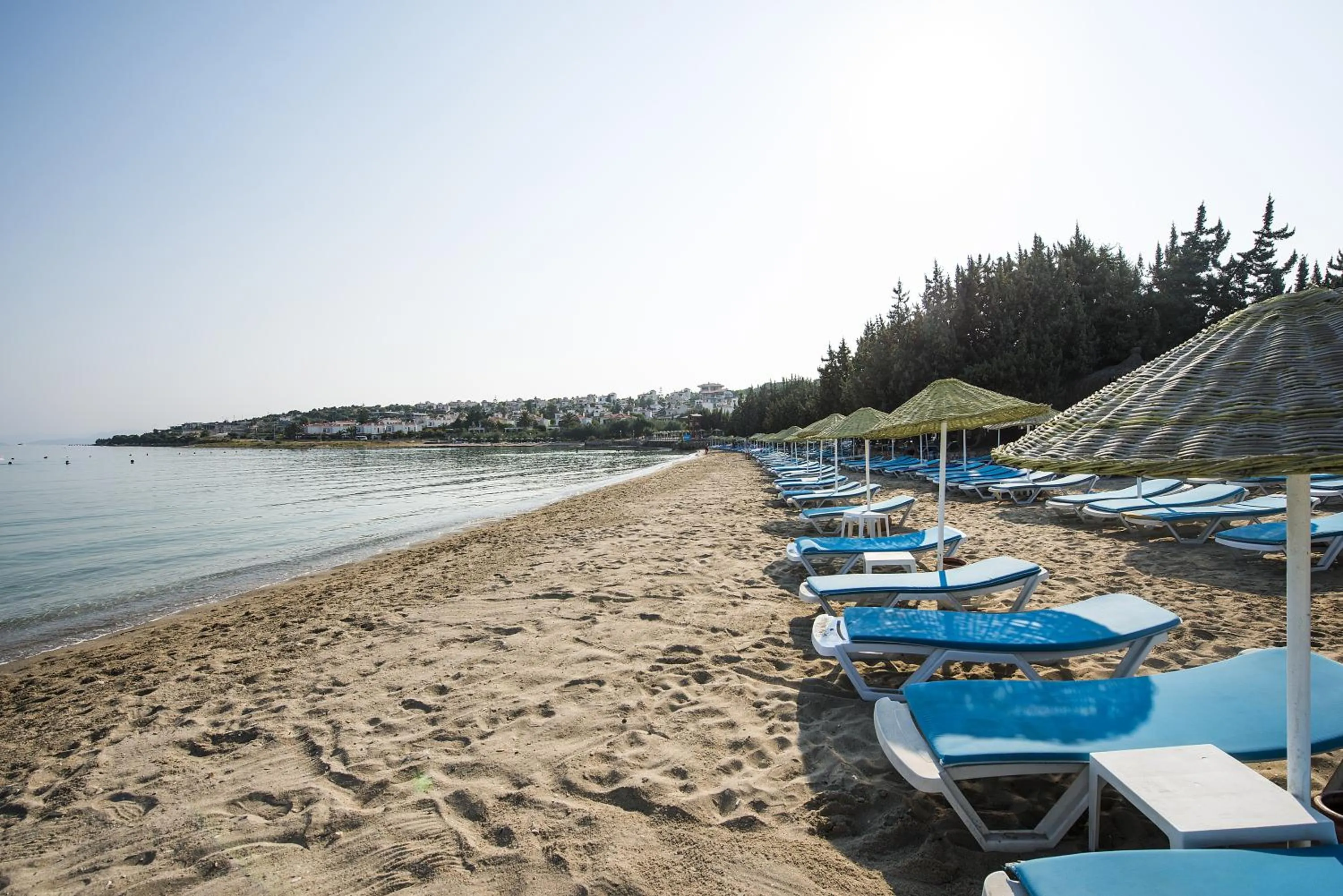 Beach in Altin Yunus Hotel & SPA - Çeşme