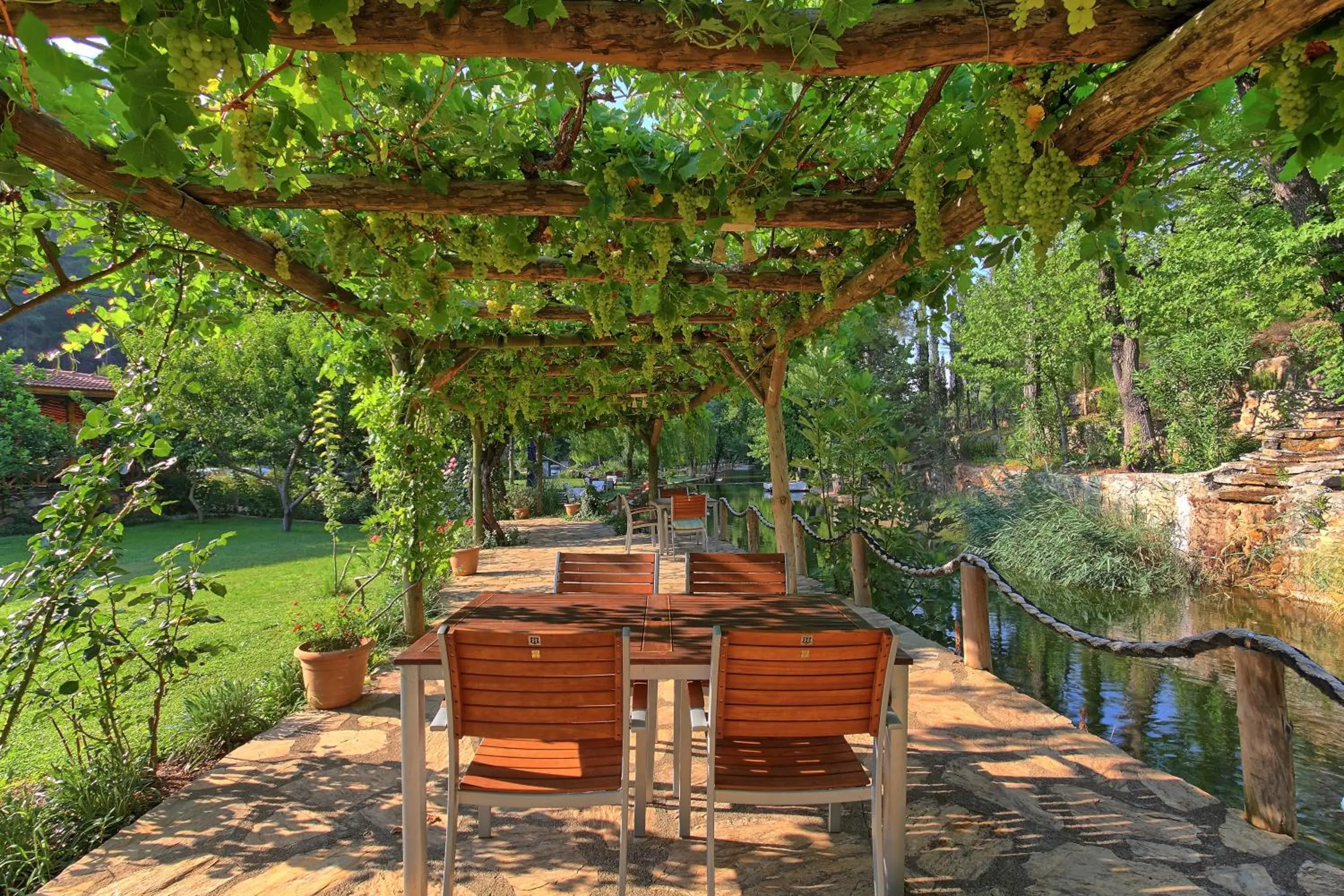 Restaurant/places to eat in Dalya Life Restaurant/places to eat in Dalya Life