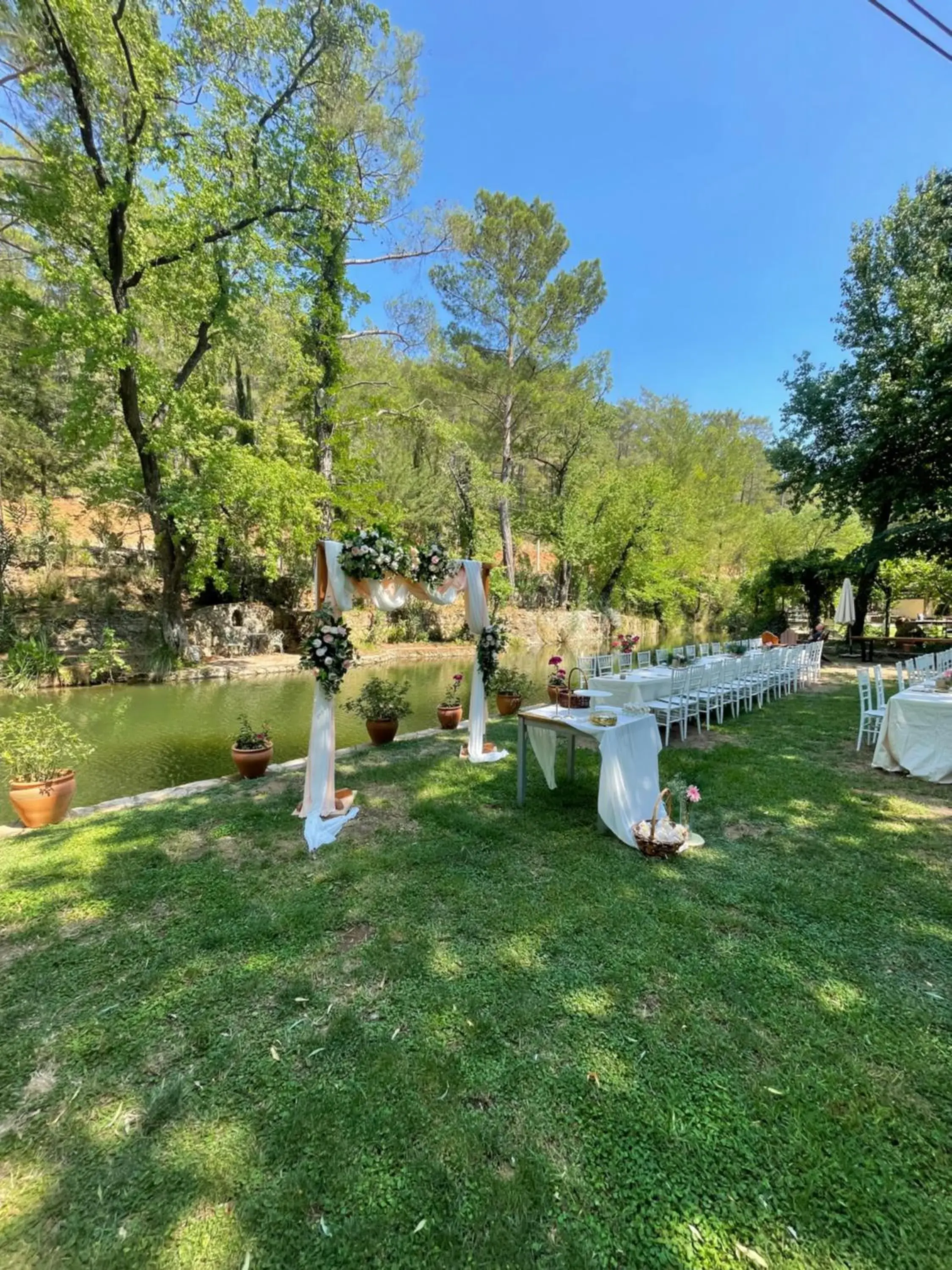 Restaurant/places to eat in Dalya Life Restaurant/places to eat in Dalya Life