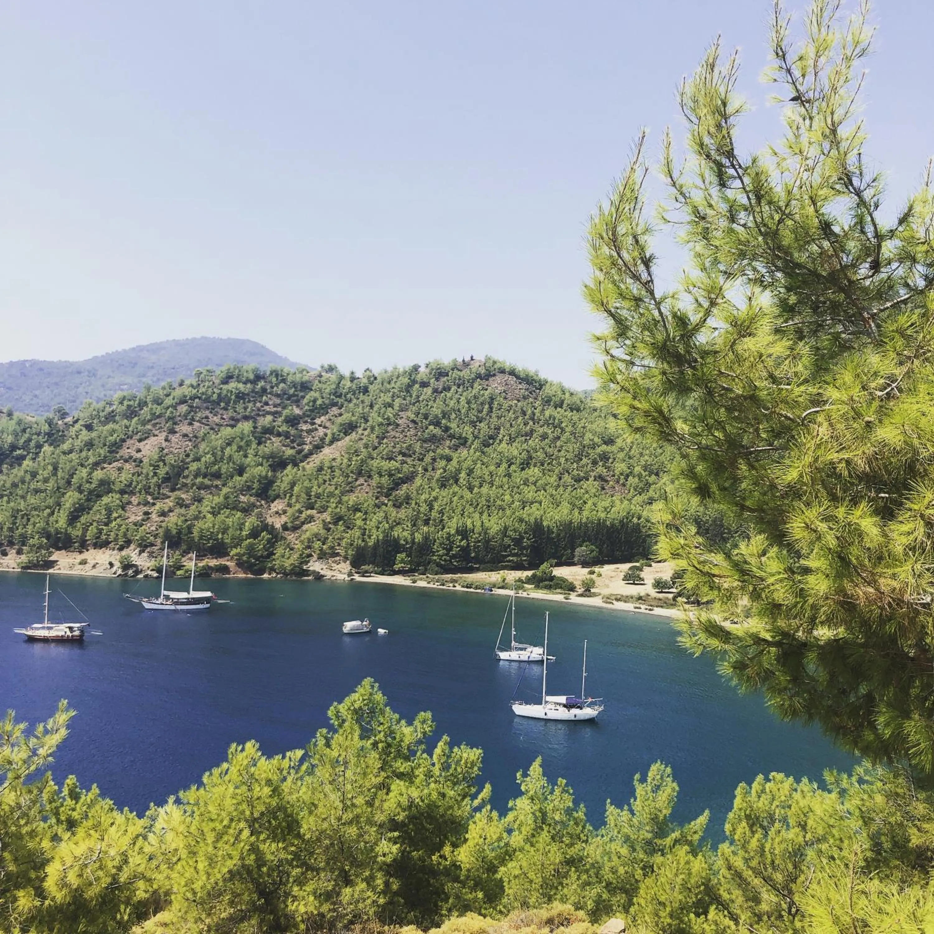 Nearby landmark in Dalya Life