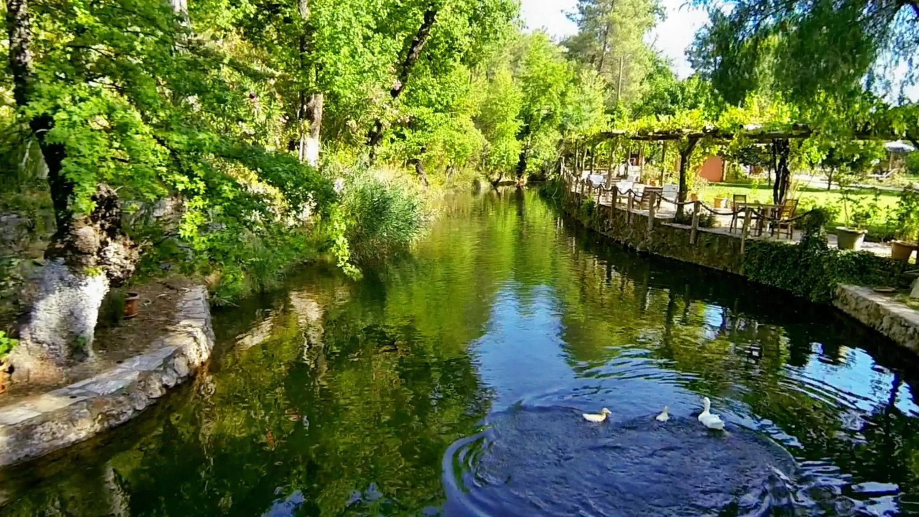 Bird's eye view in Dalya Life Bird's eye view in Dalya Life