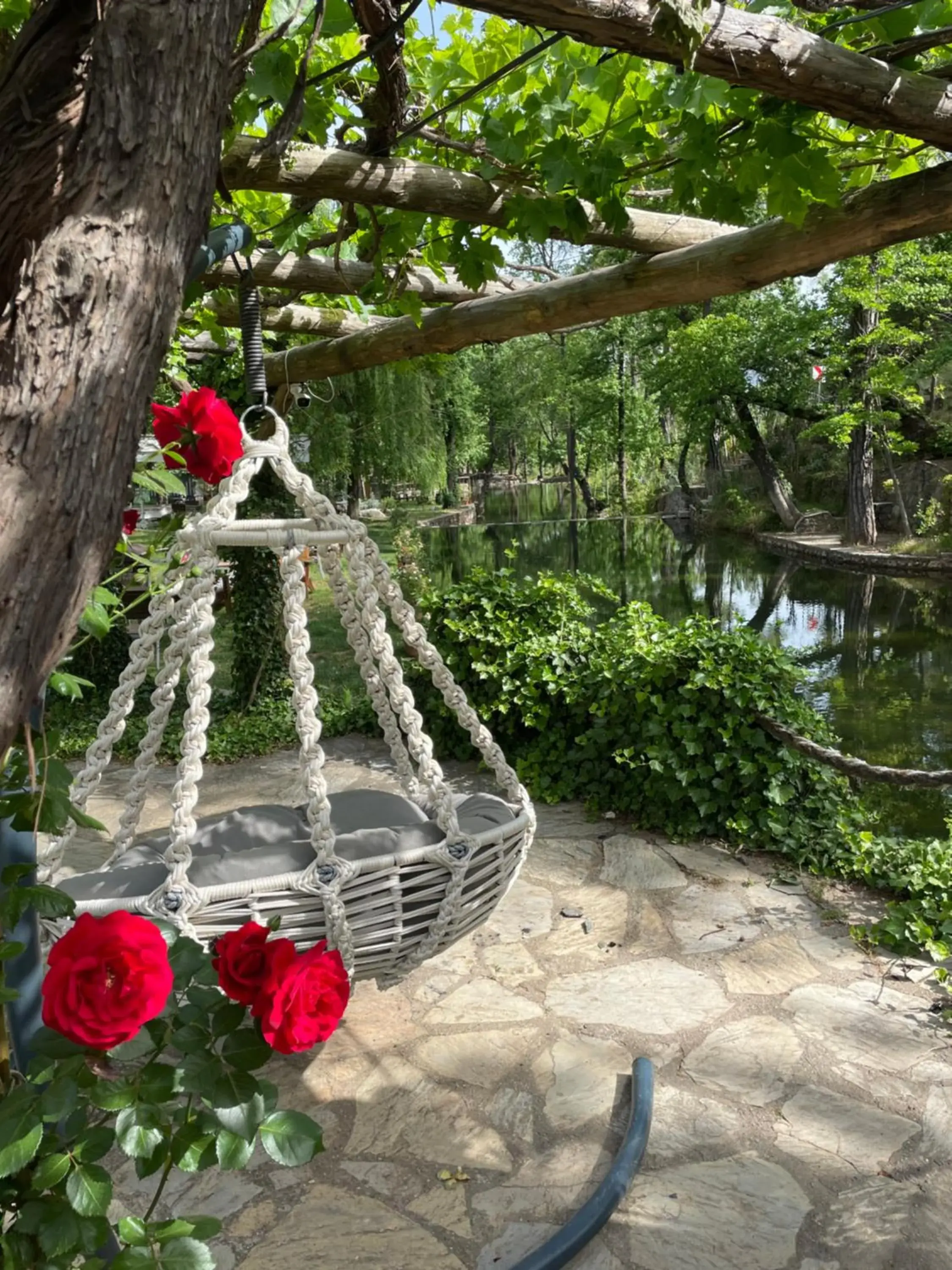 Restaurant/places to eat in Dalya Life Restaurant/places to eat in Dalya Life