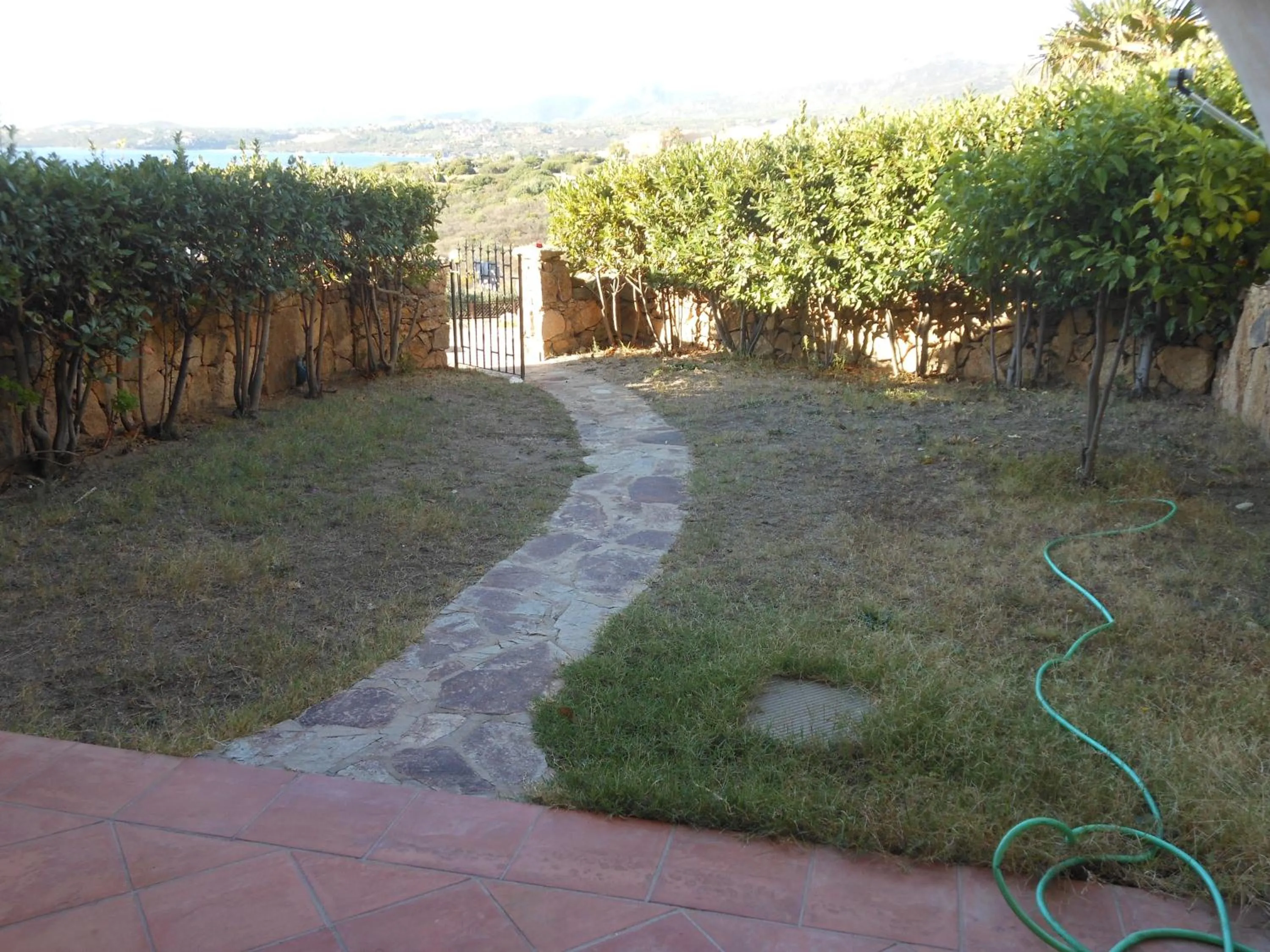 Garden in Cala Delfino