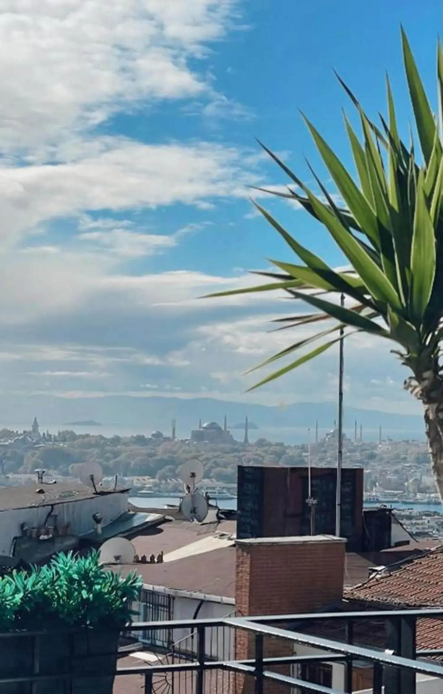 Restaurant/places to eat in Misafir Suites 8 Istanbul Restaurant/places to eat in Misafir Suites 8 Istanbul