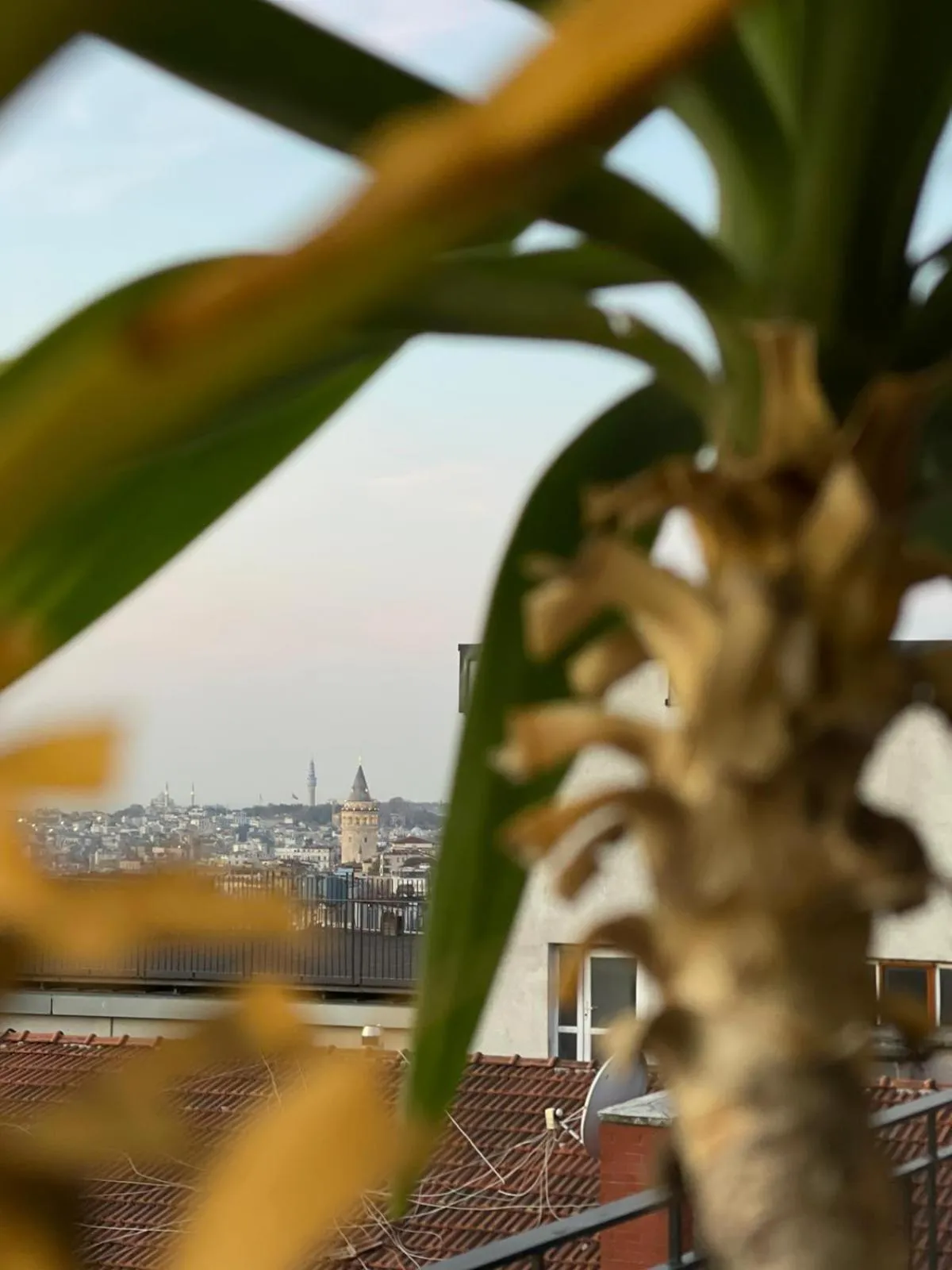 Restaurant/places to eat in Misafir Suites 8 Istanbul