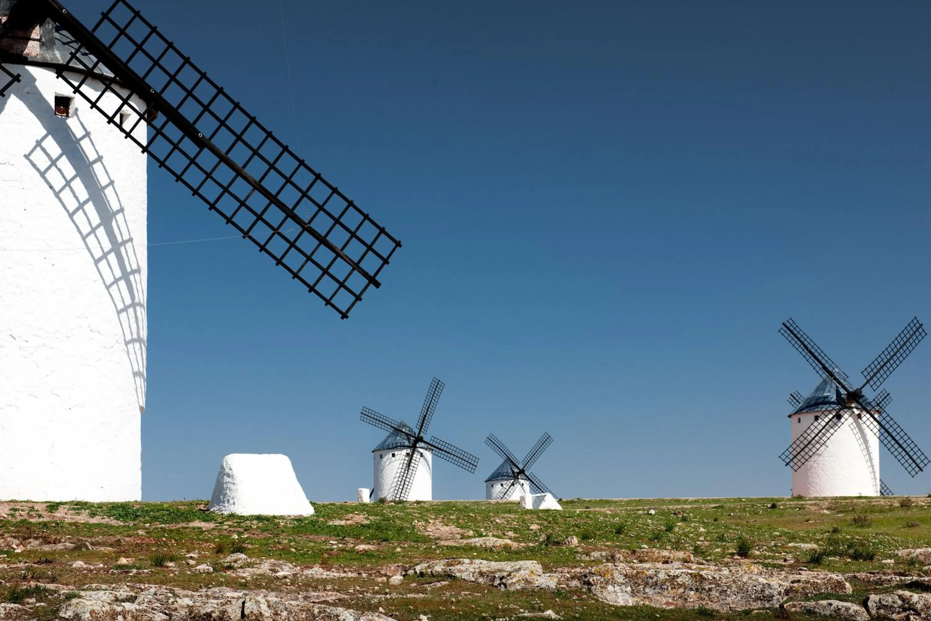 Nearby landmark in Hotel Palacio Buenavista