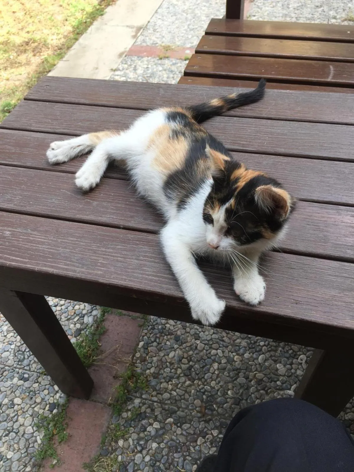 View (from property/room) in Hotel Baylan İzmir