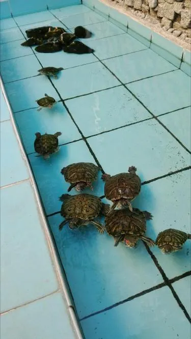 Facade/entrance in Hotel Baylan İzmir