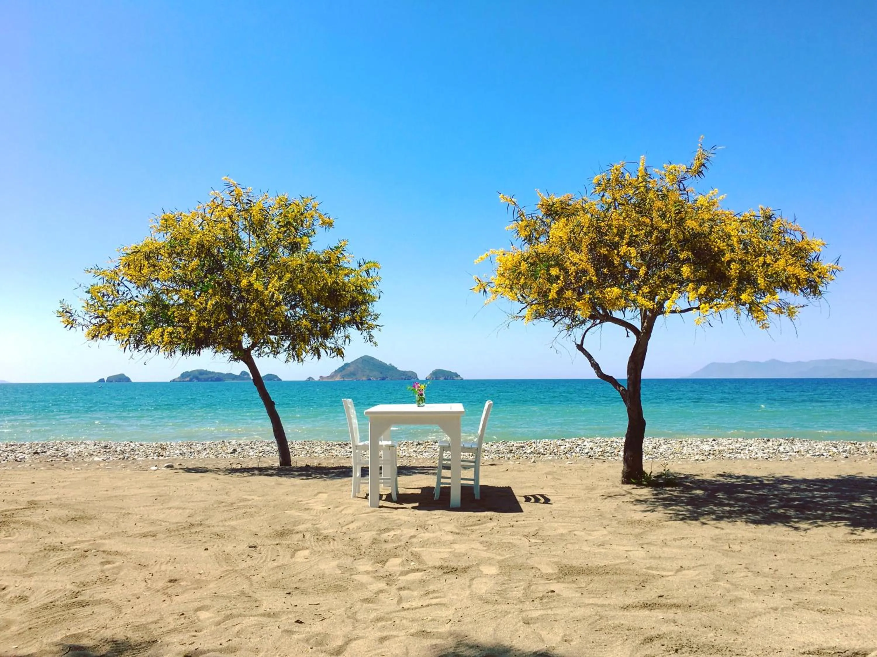 Beach in Yonca Lodge