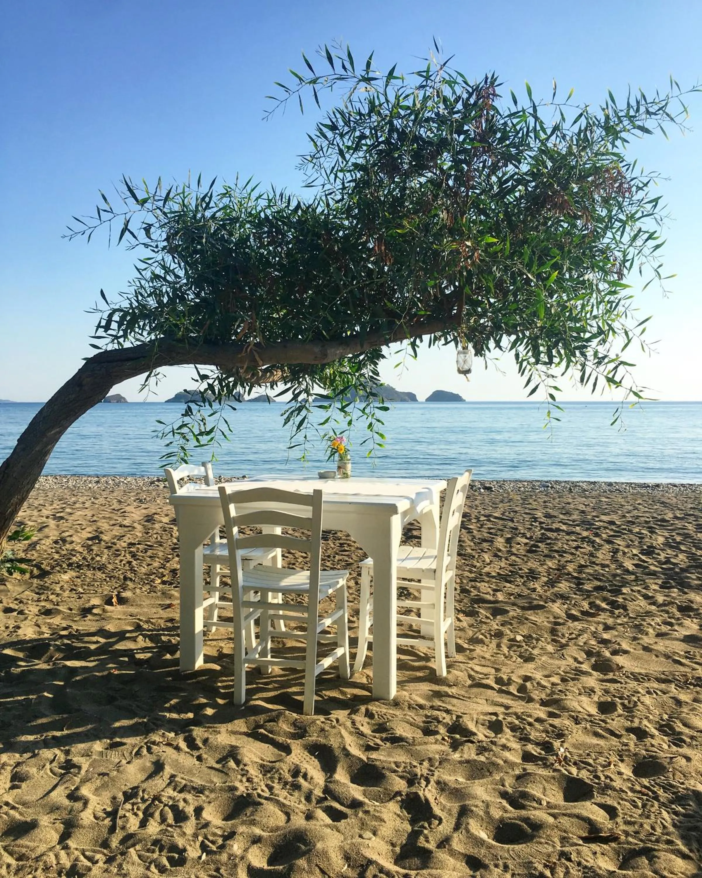 Beach in Yonca Lodge