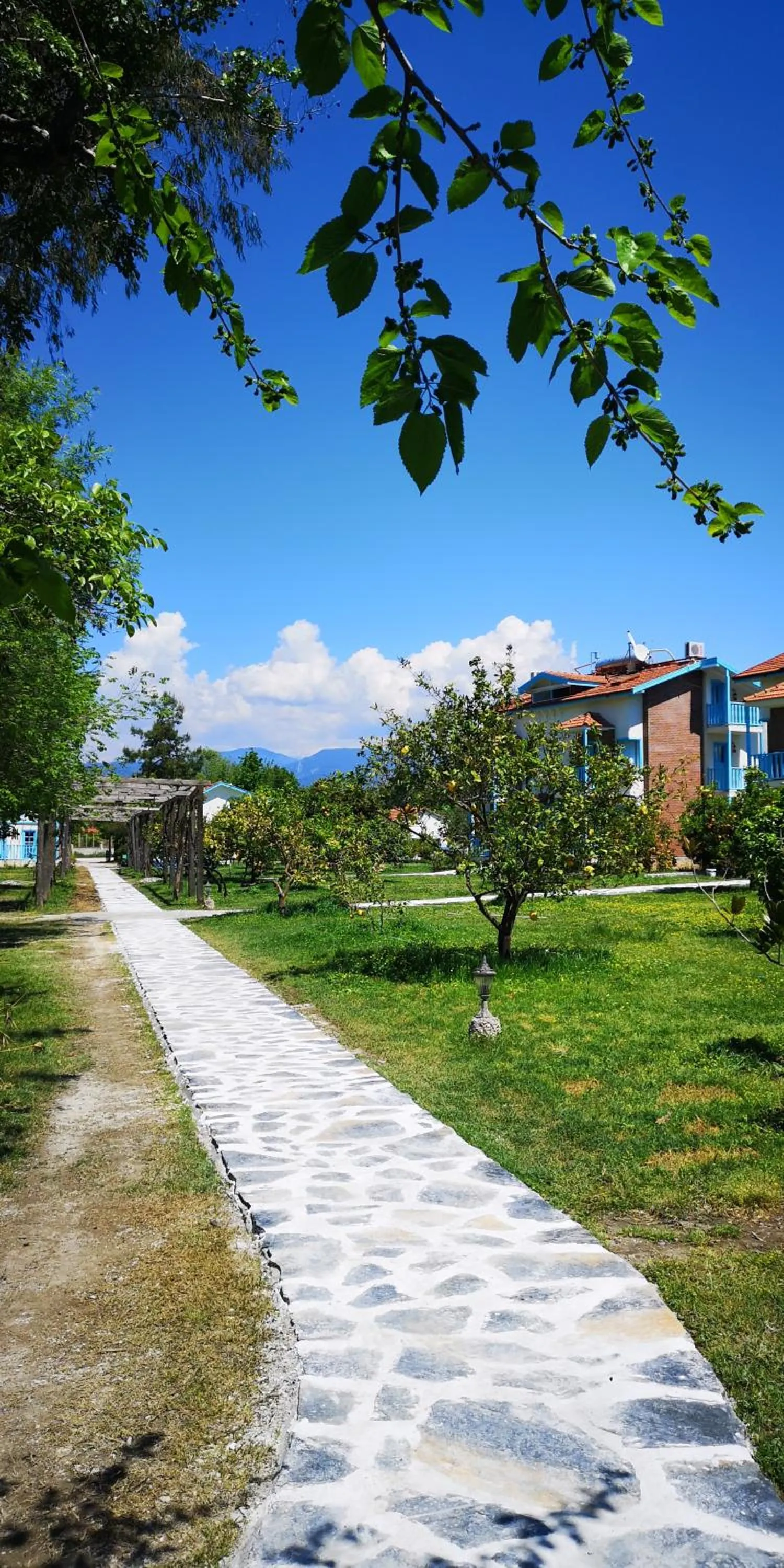 Garden in Yonca Lodge