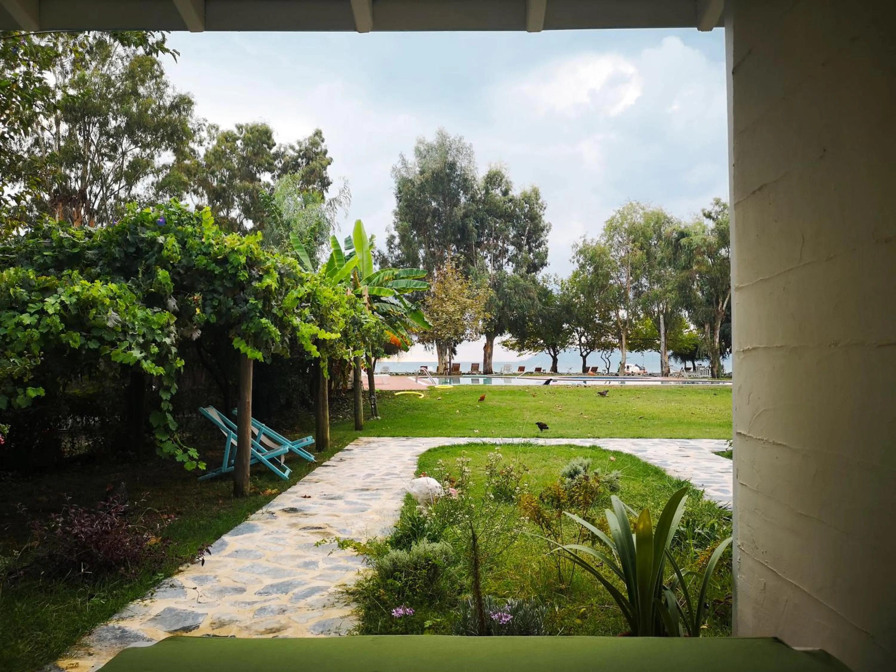 Garden view in Yonca Lodge