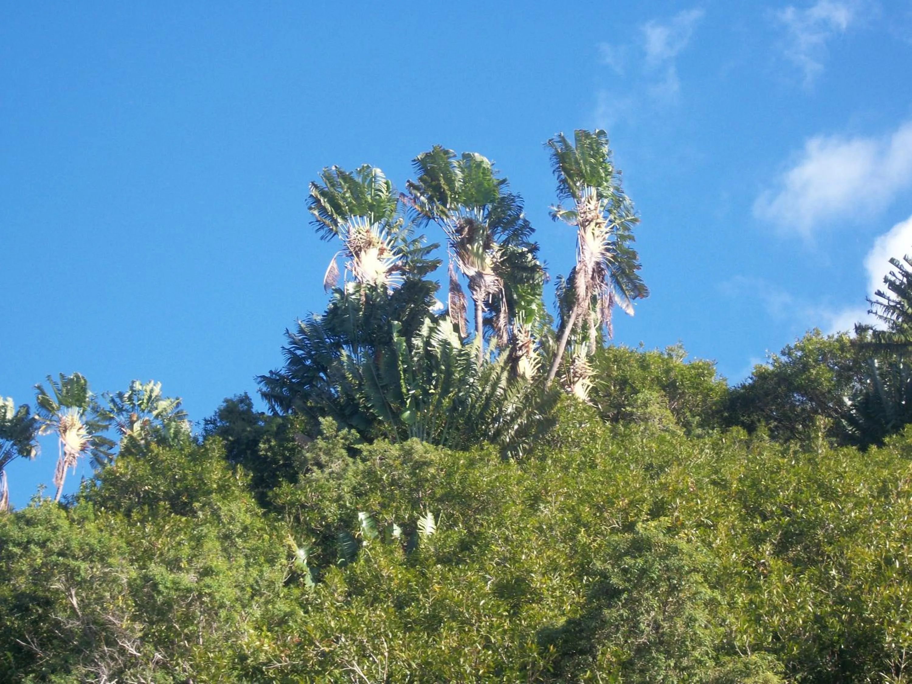 Off site in LE RUBINJO 2