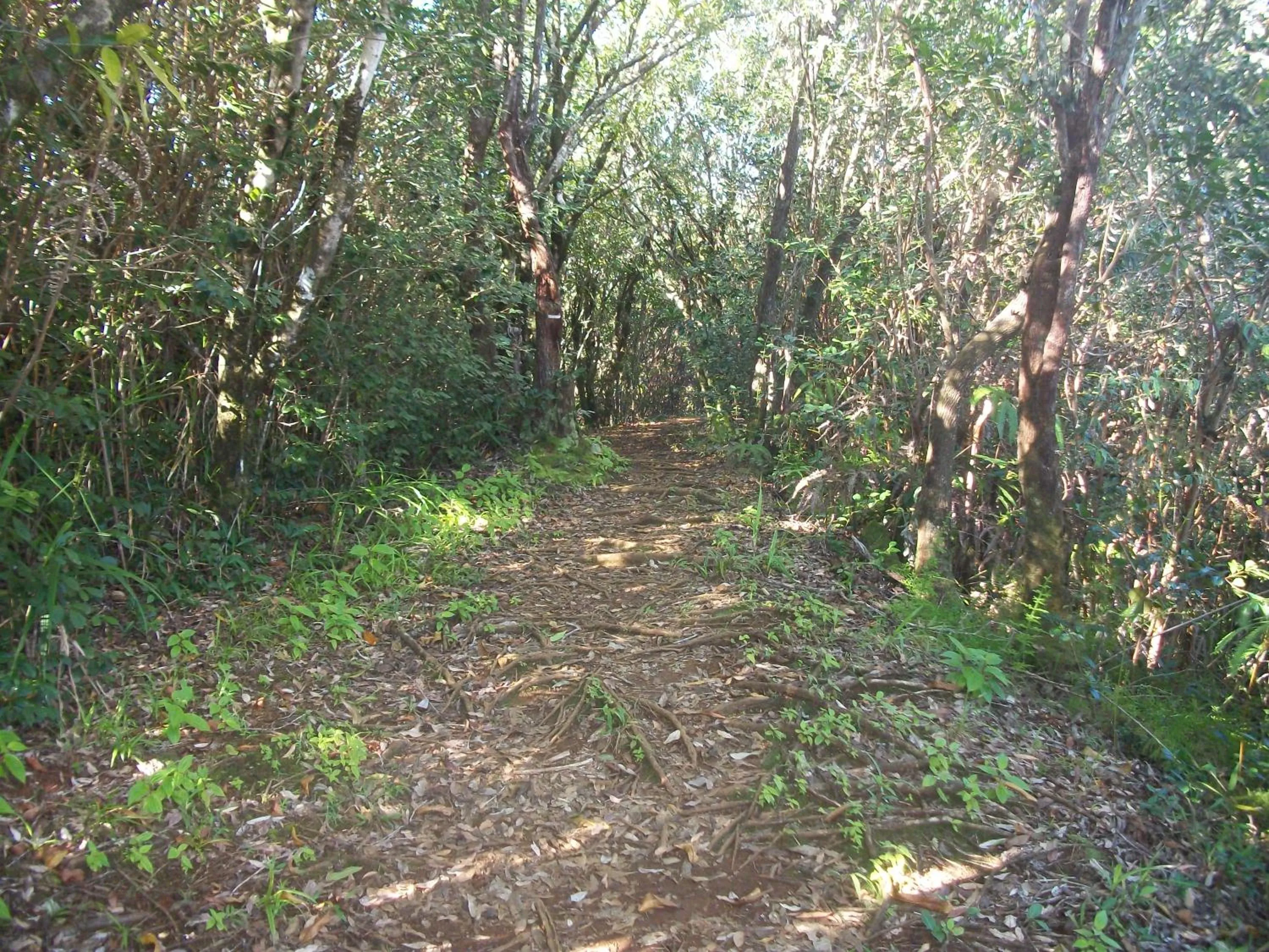 Off site in LE RUBINJO 2