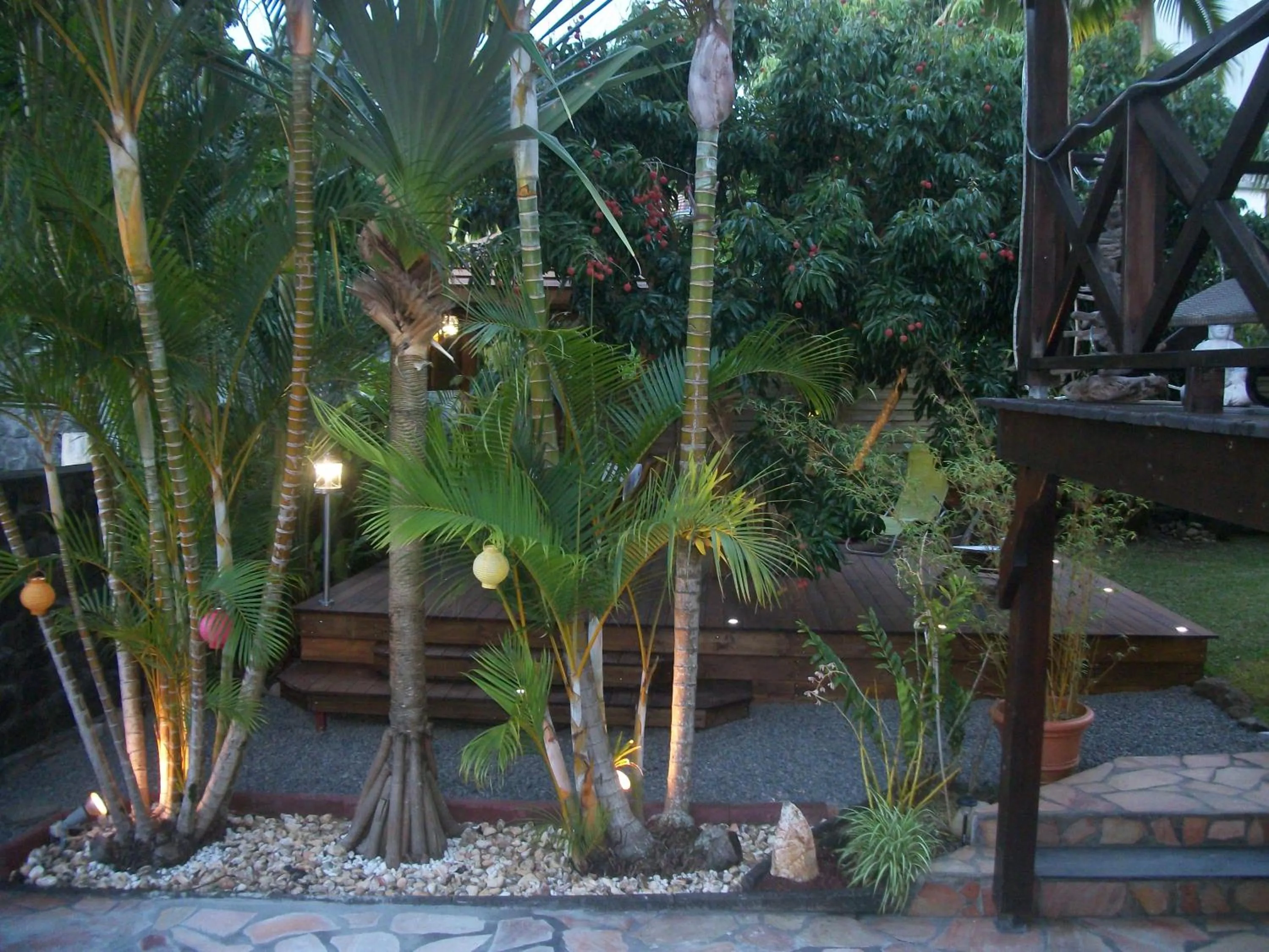 Garden in LE RUBINJO 2