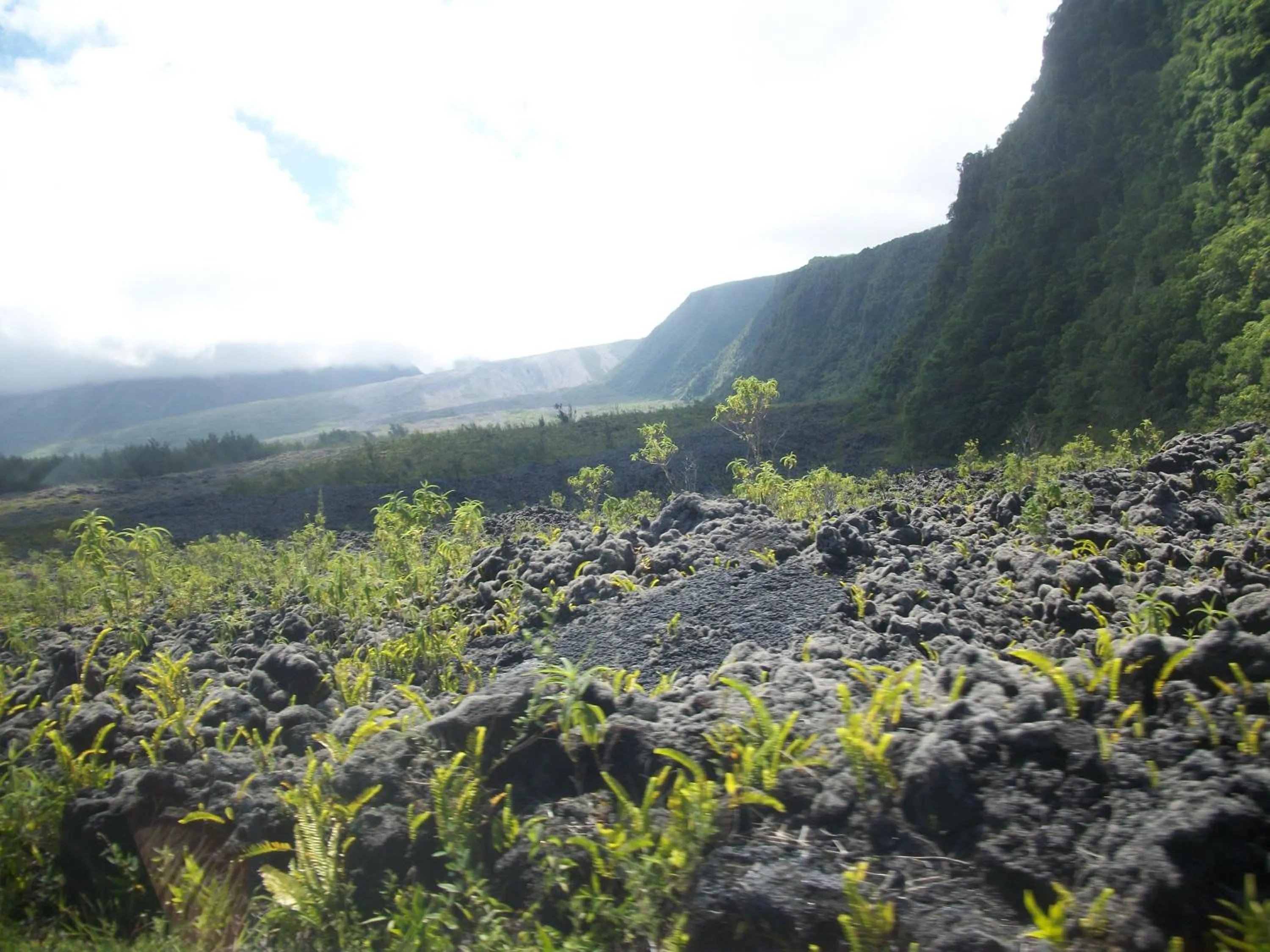 Nearby landmark in LE RUBINJO 2