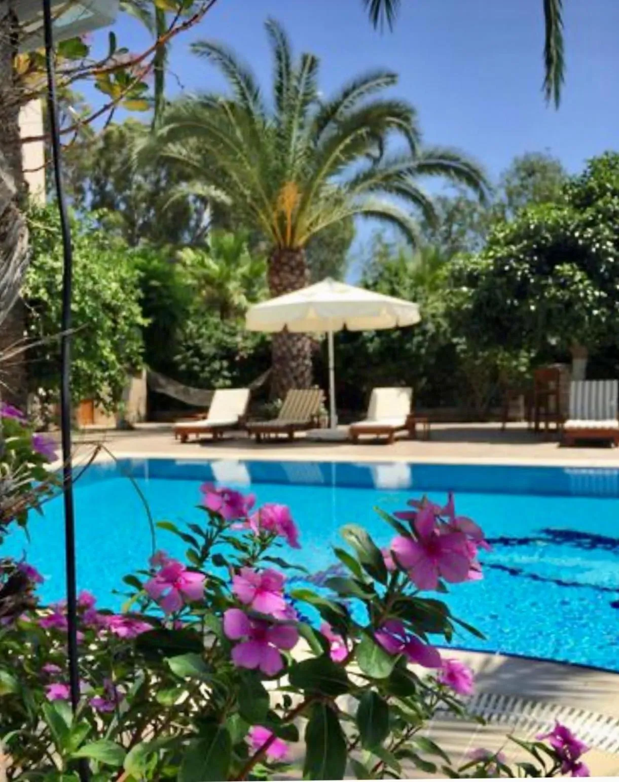 Swimming pool in Ipek Garden Palace Residence