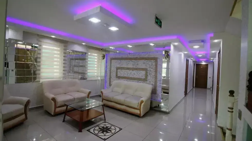Seating area, Lobby/Reception in Behram Hotel
