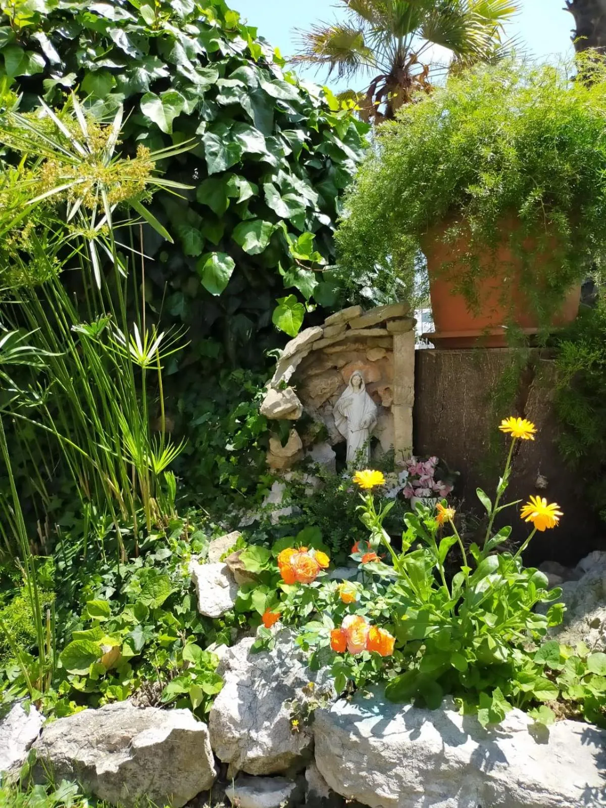 Garden in A Casa Di Pici