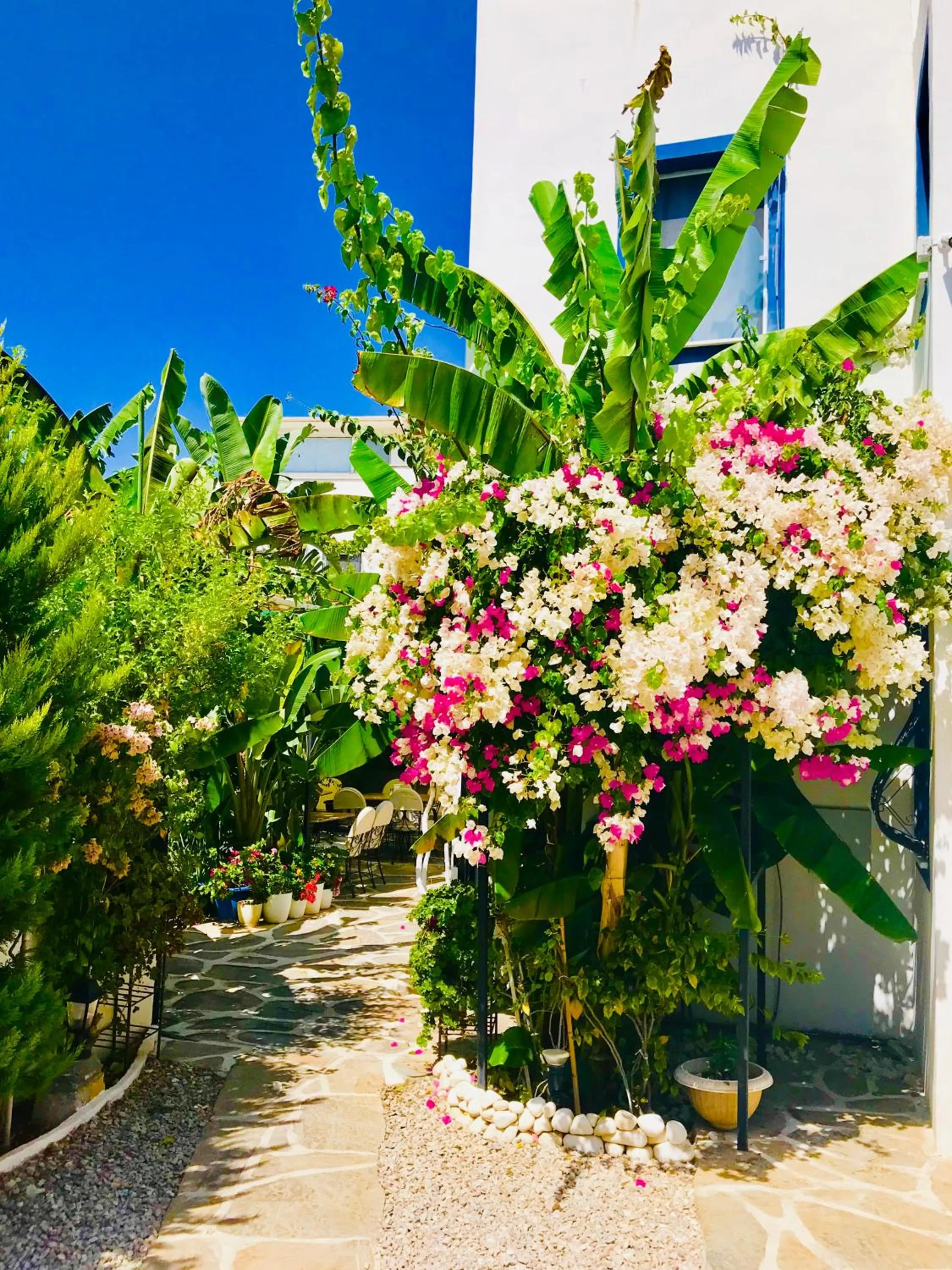 Facade/entrance in Artunc Hotel Bodrum