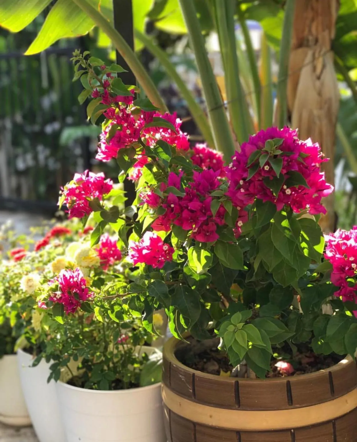 Day in Artunc Hotel Bodrum