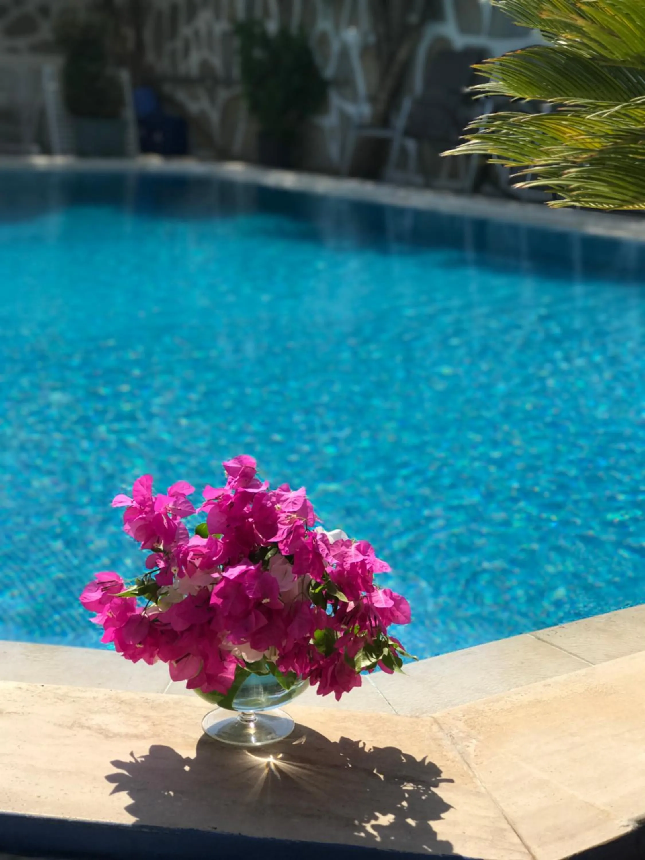 Swimming pool in Artunc Hotel Bodrum