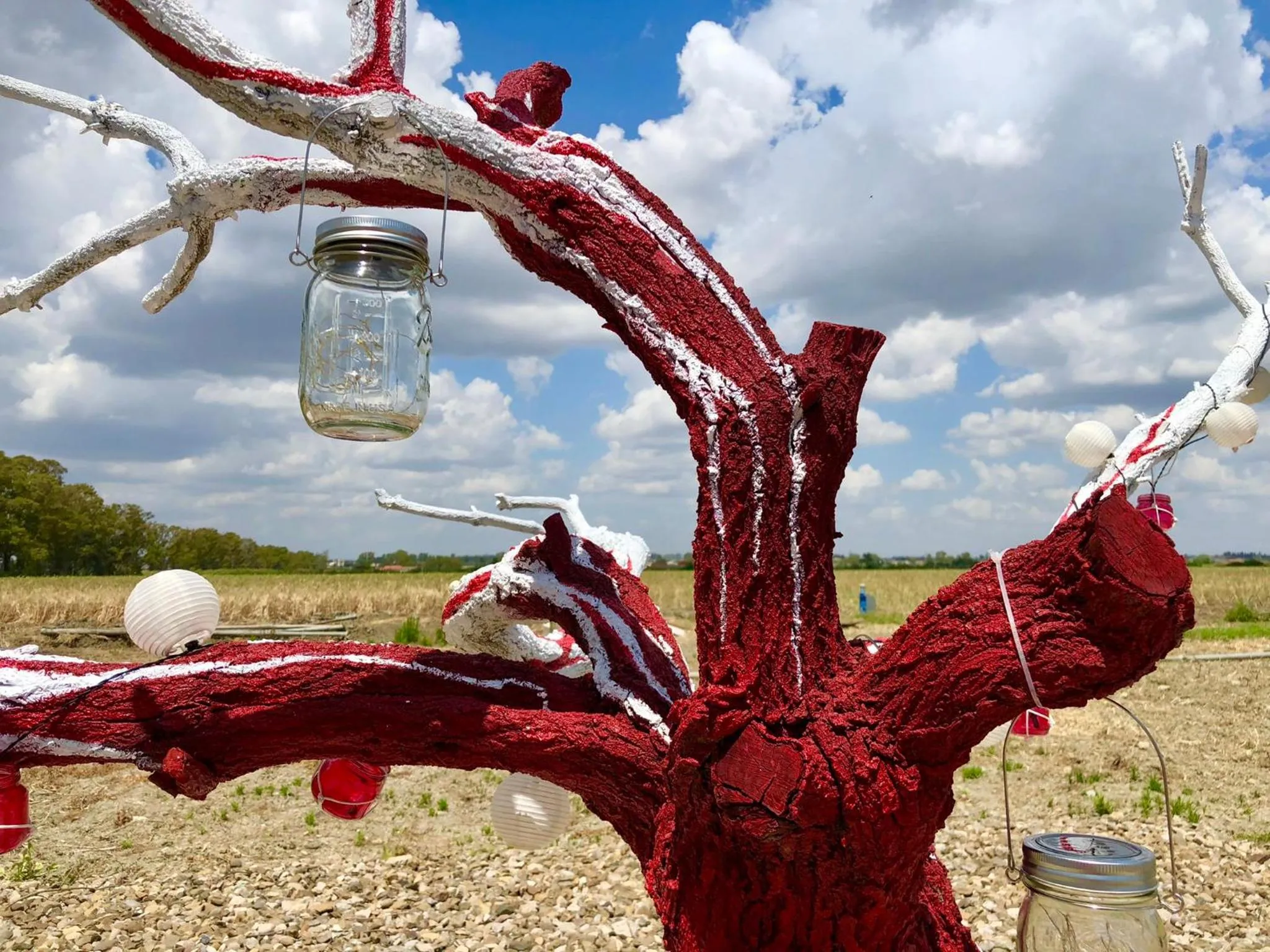 Natural landscape in Villa Cenzina