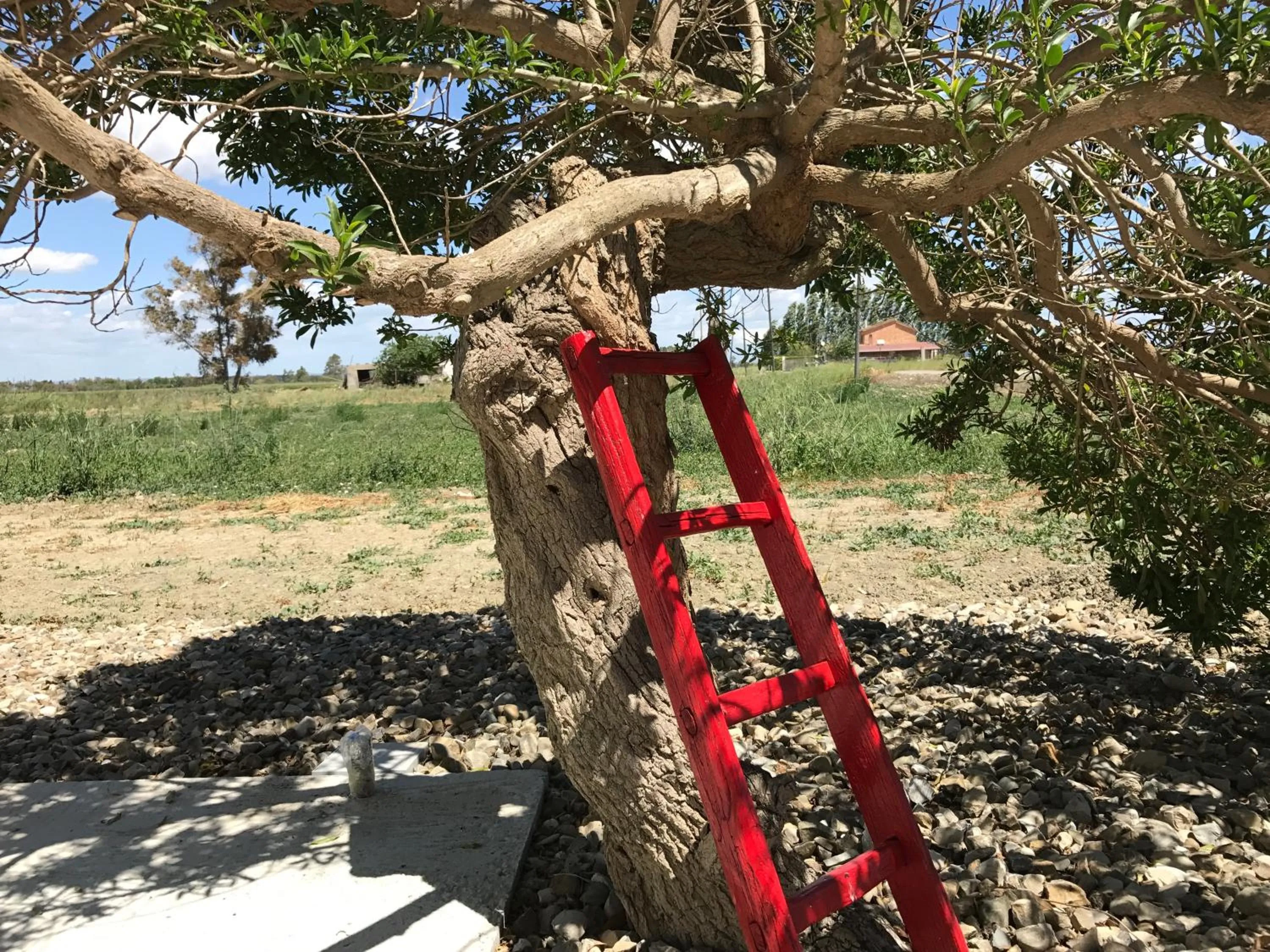 Garden view in Villa Cenzina