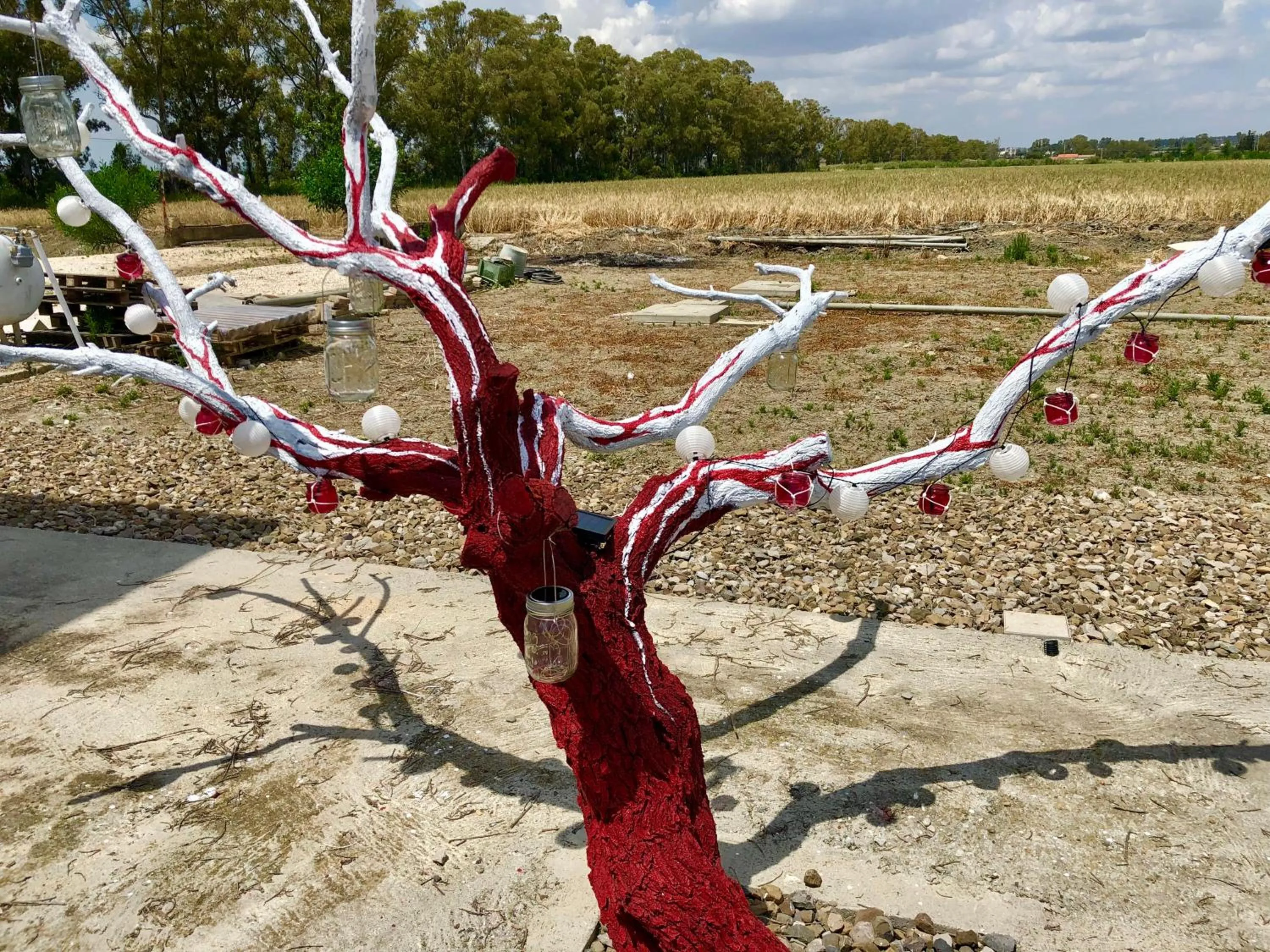 Day in Villa Cenzina