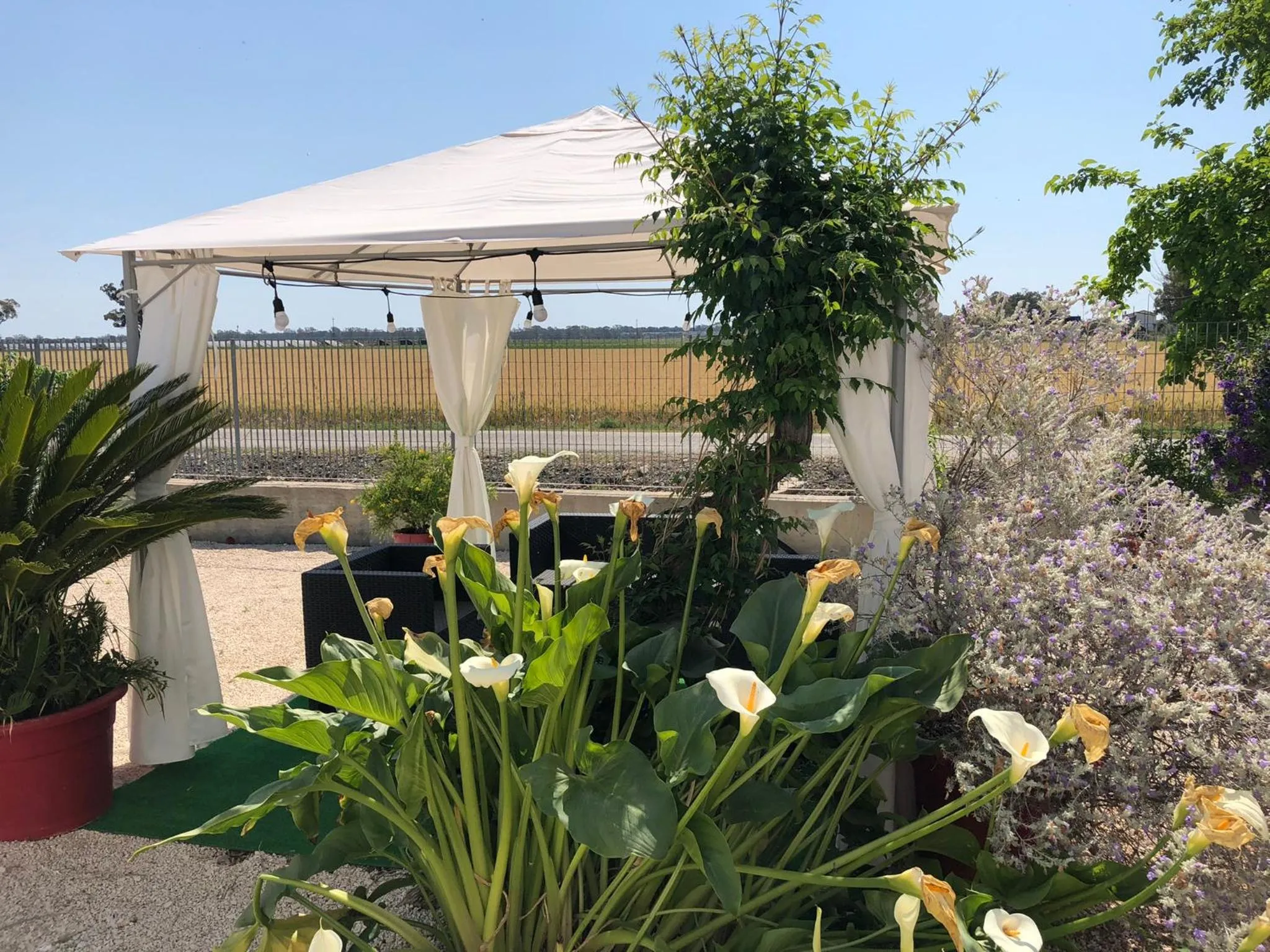 Day in Villa Cenzina