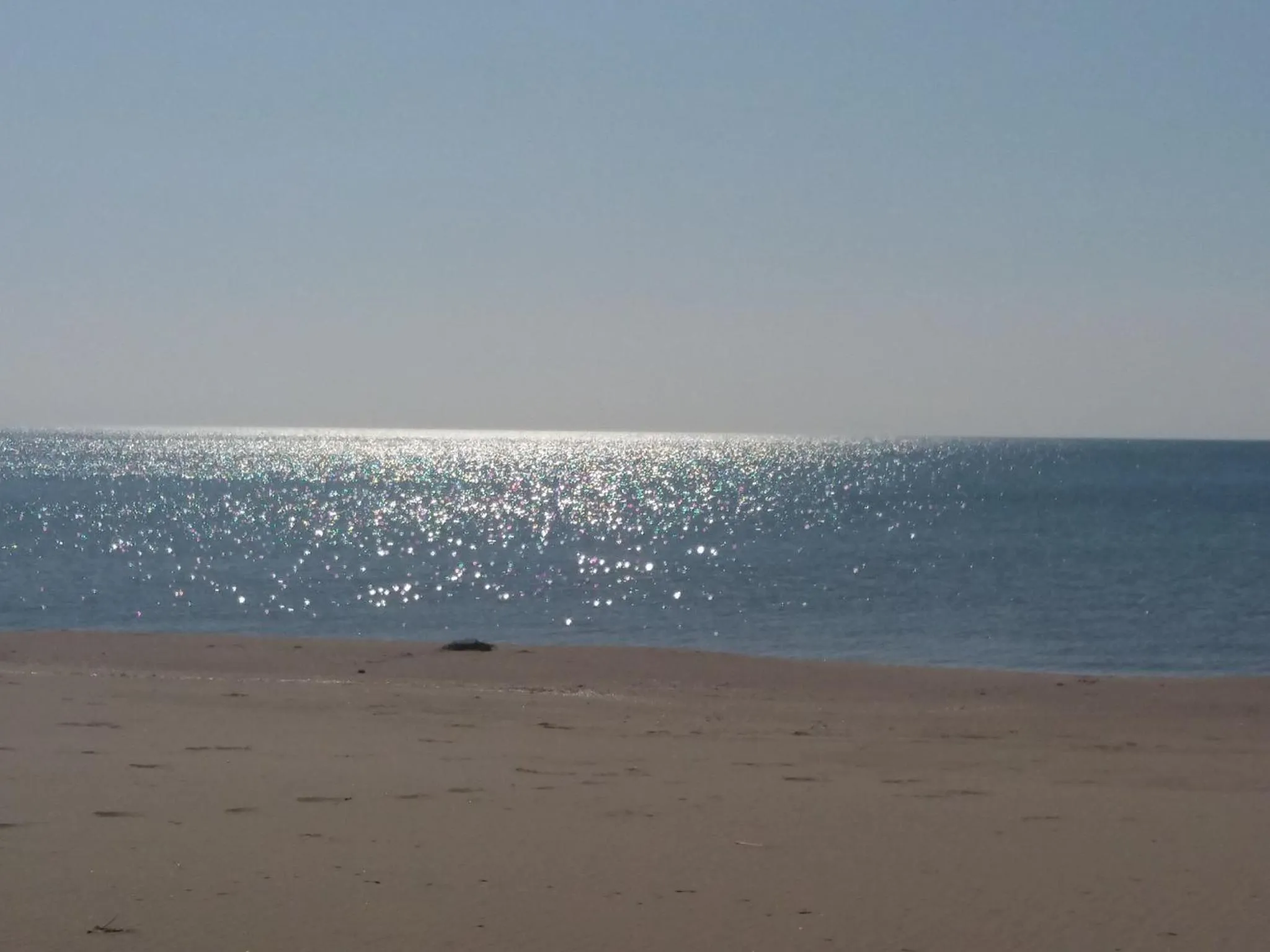 Beach in Villa Cenzina