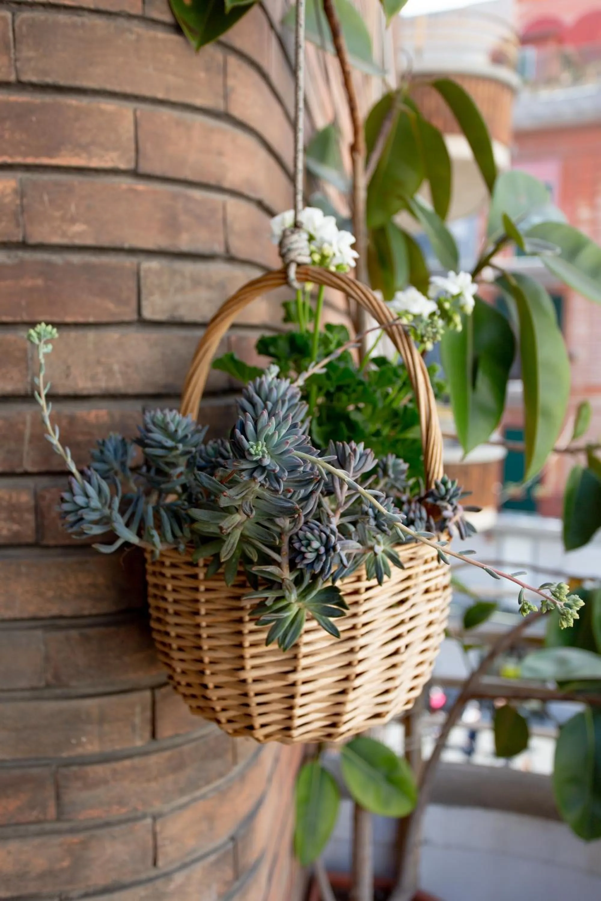 Balcony/Terrace in Napoli Bonita b&b