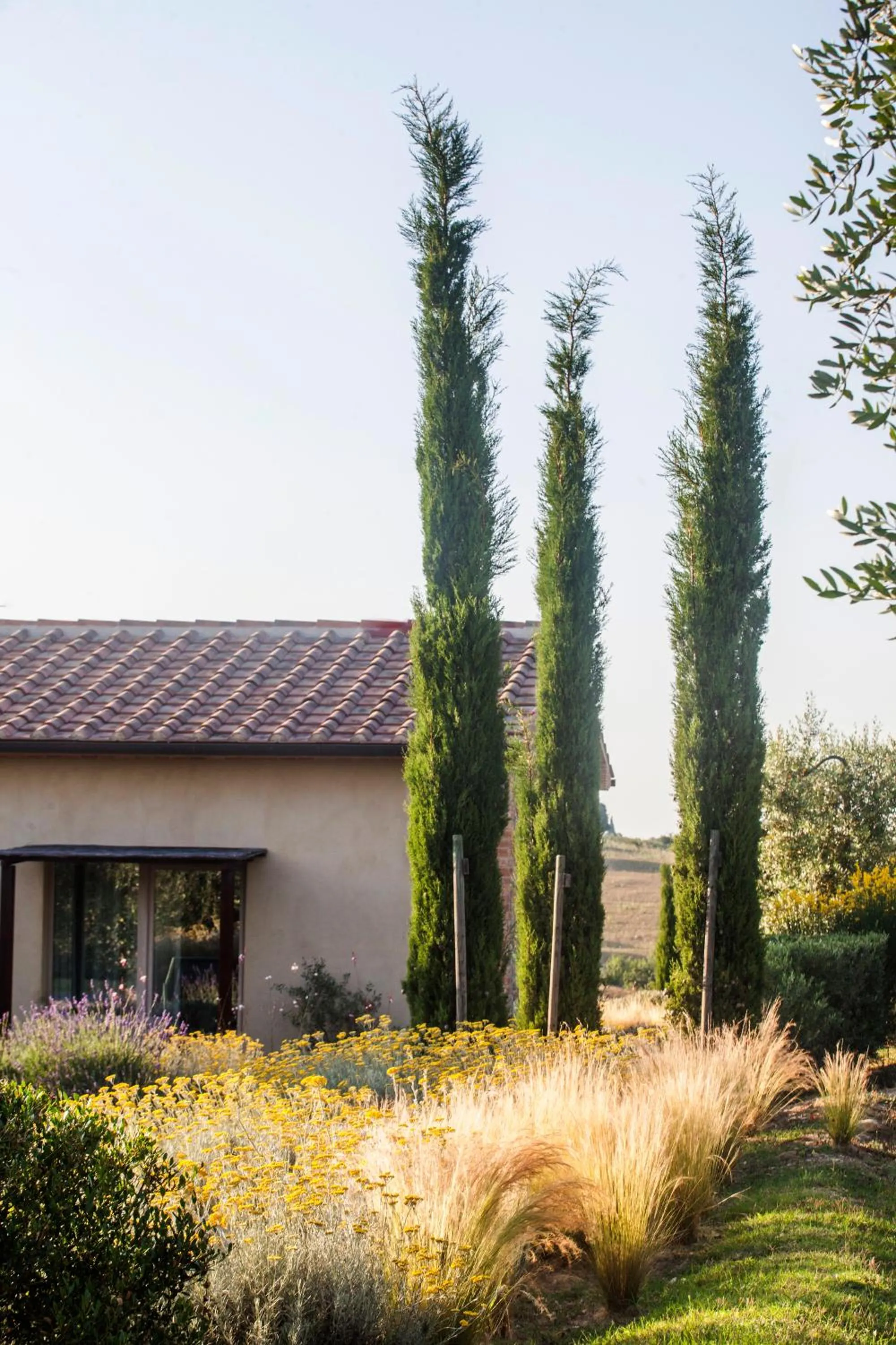 Property building in Casale Sterpeti