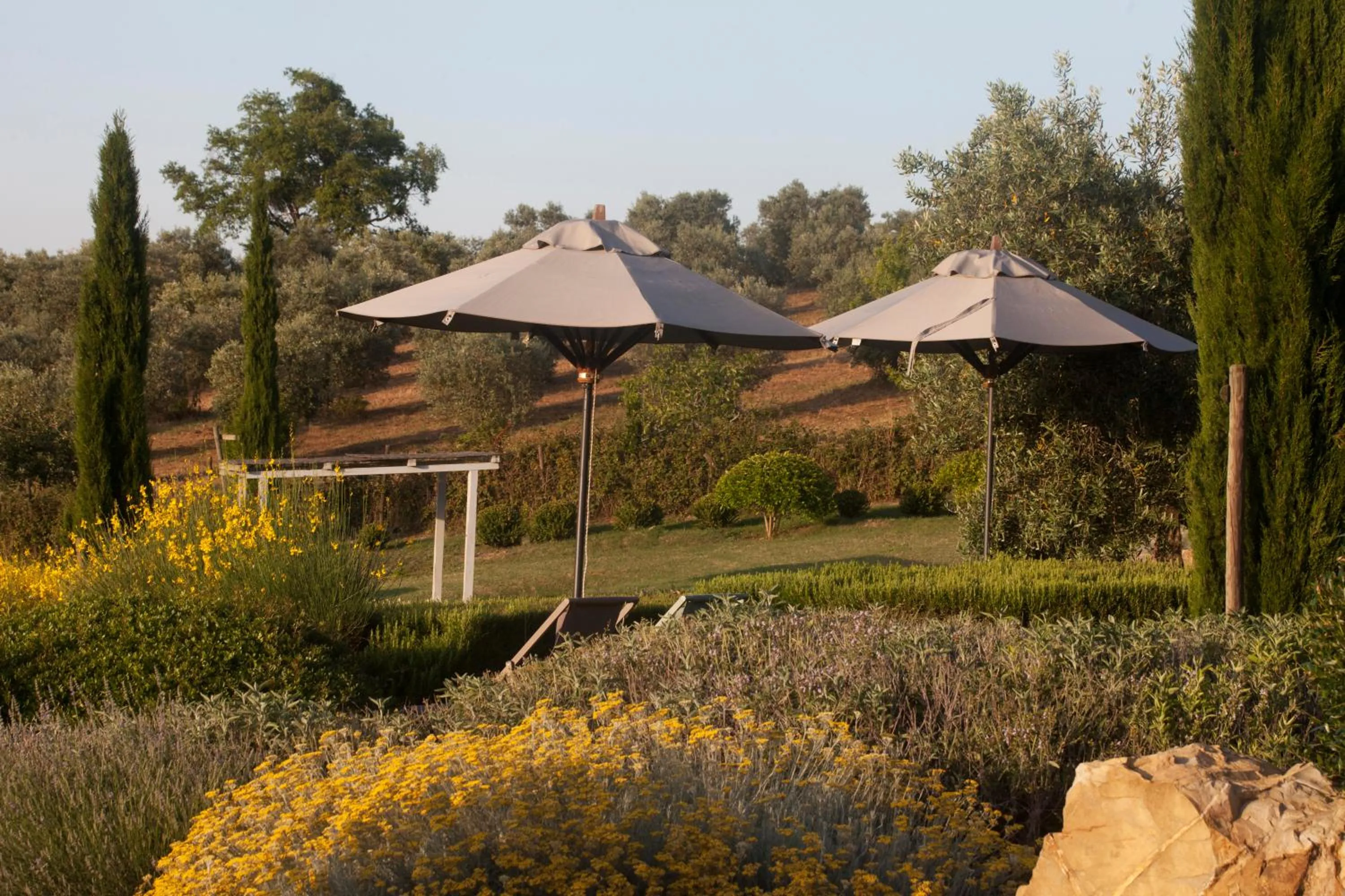Garden in Casale Sterpeti