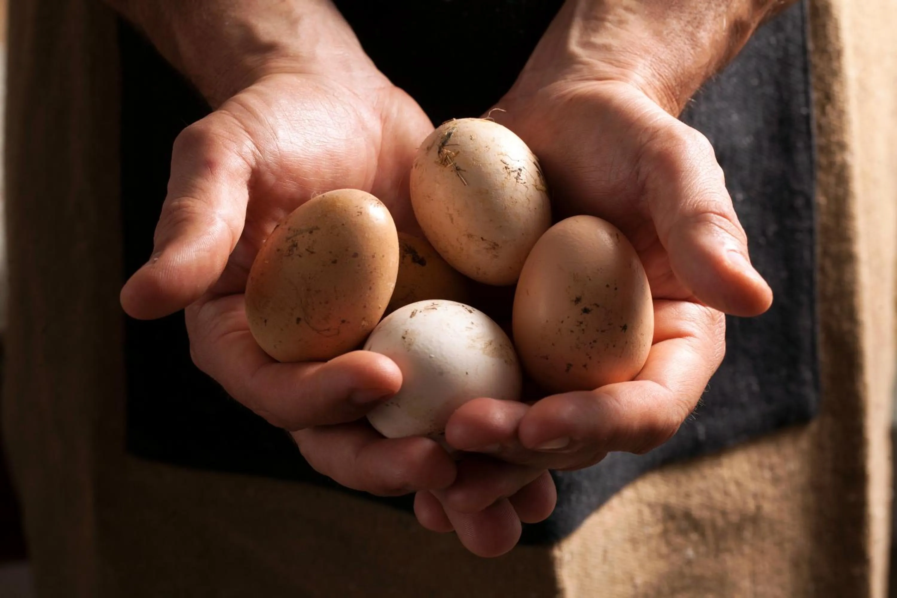 Buffet breakfast in Casale Sterpeti