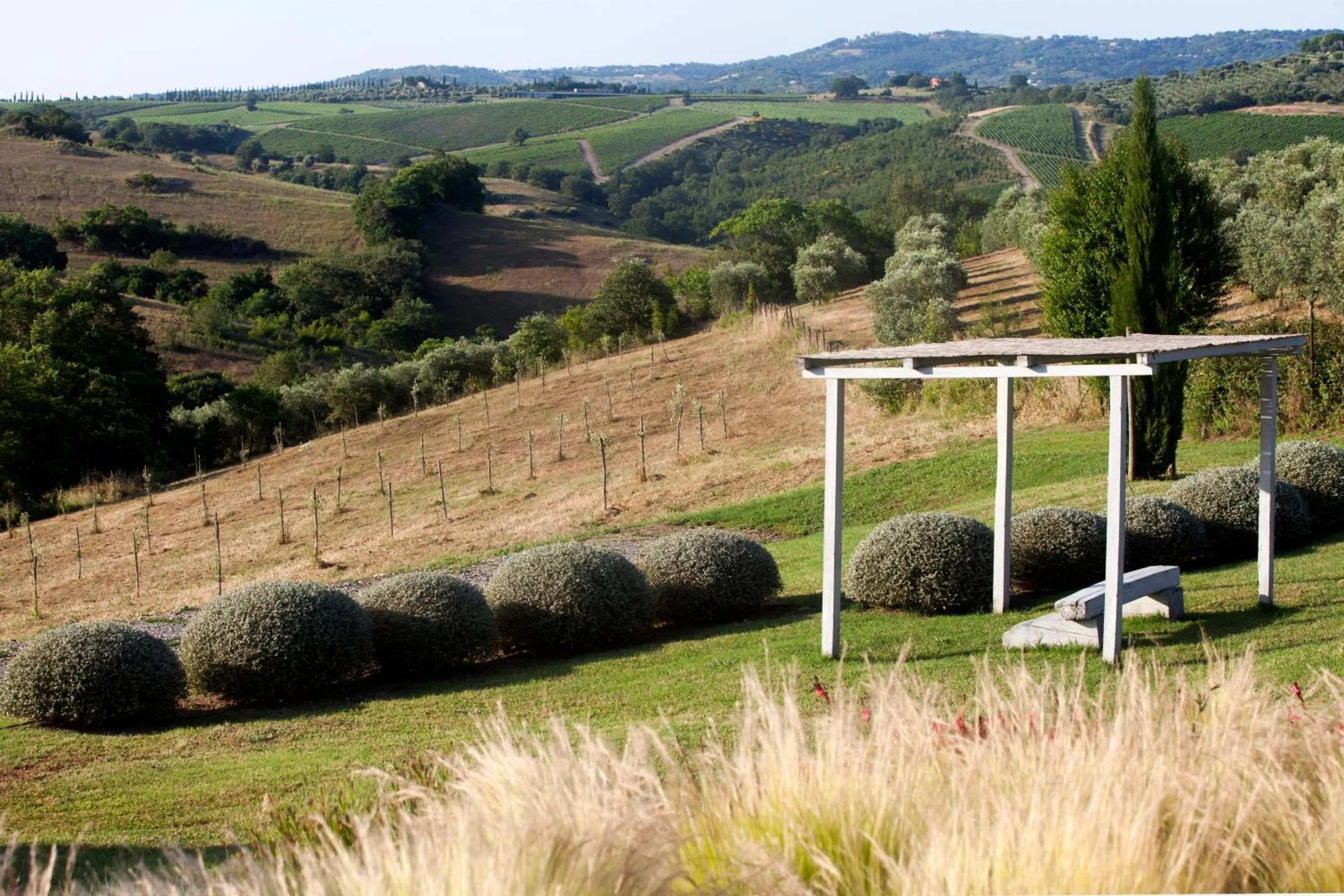 Garden in Casale Sterpeti