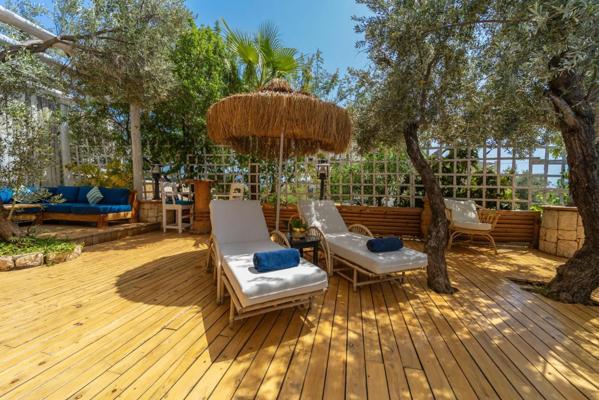 Garden in Elixir Hotel