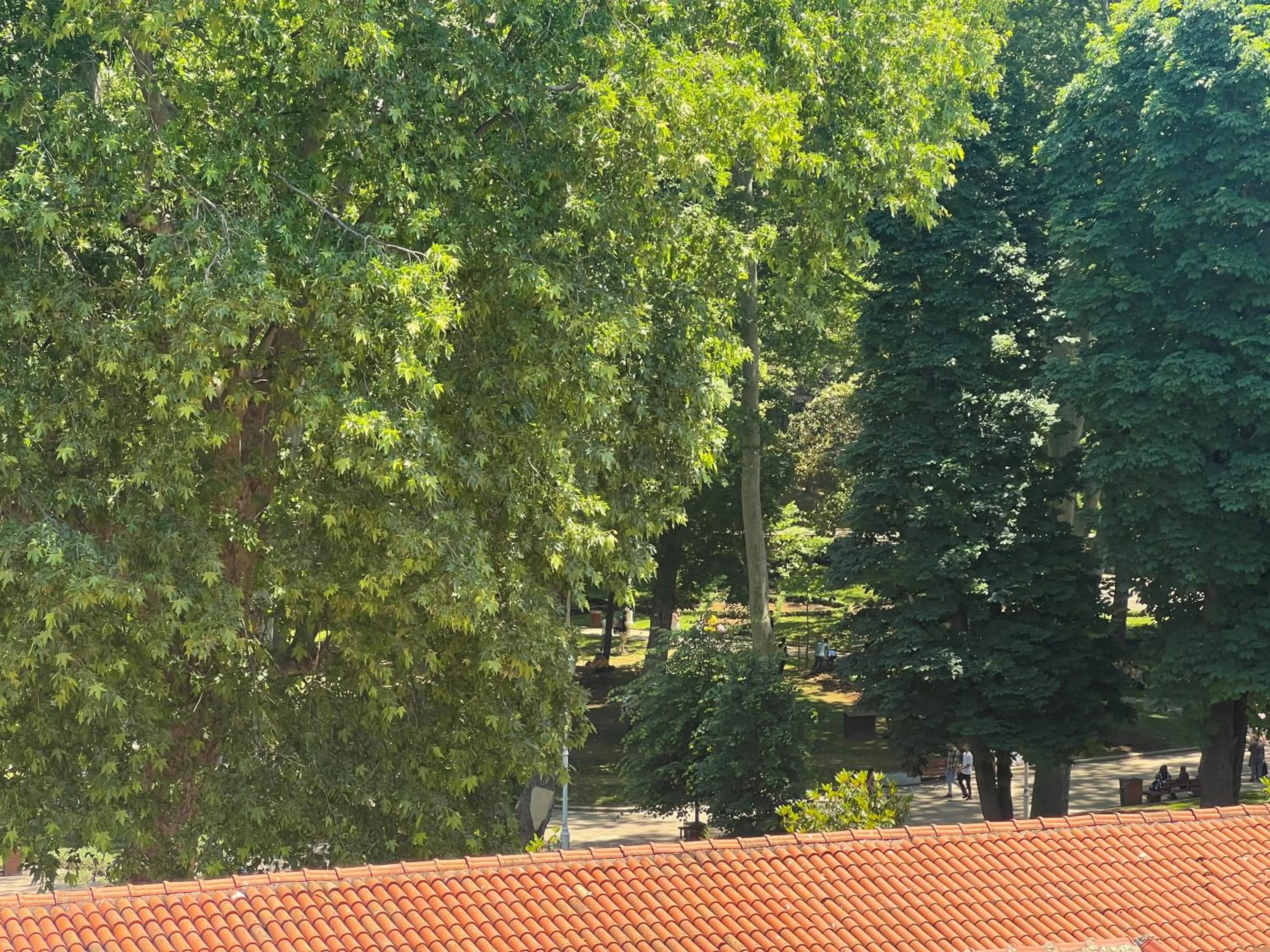 Spring in The Constantine Hotel