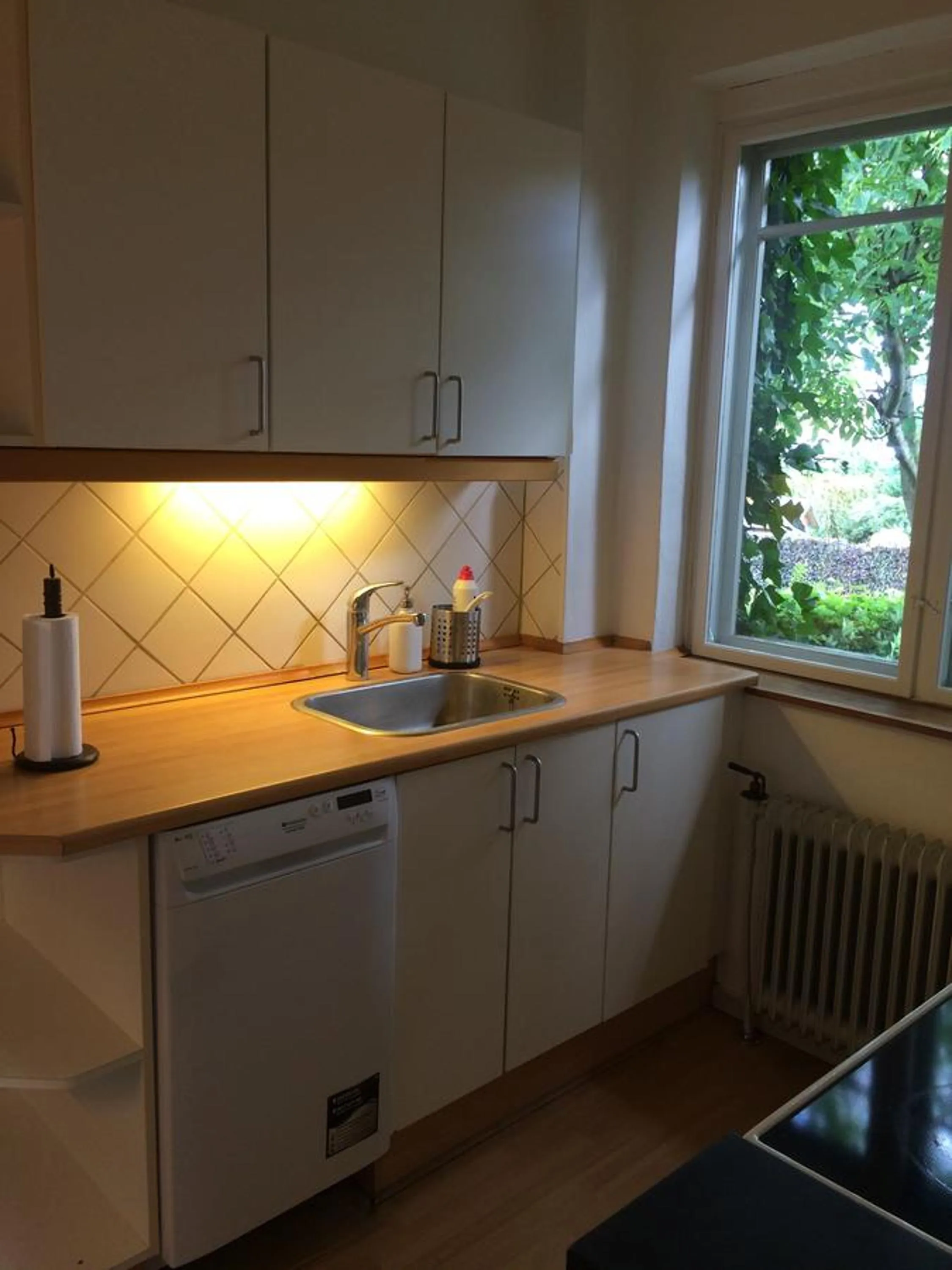 Communal kitchen in Close But Quiet