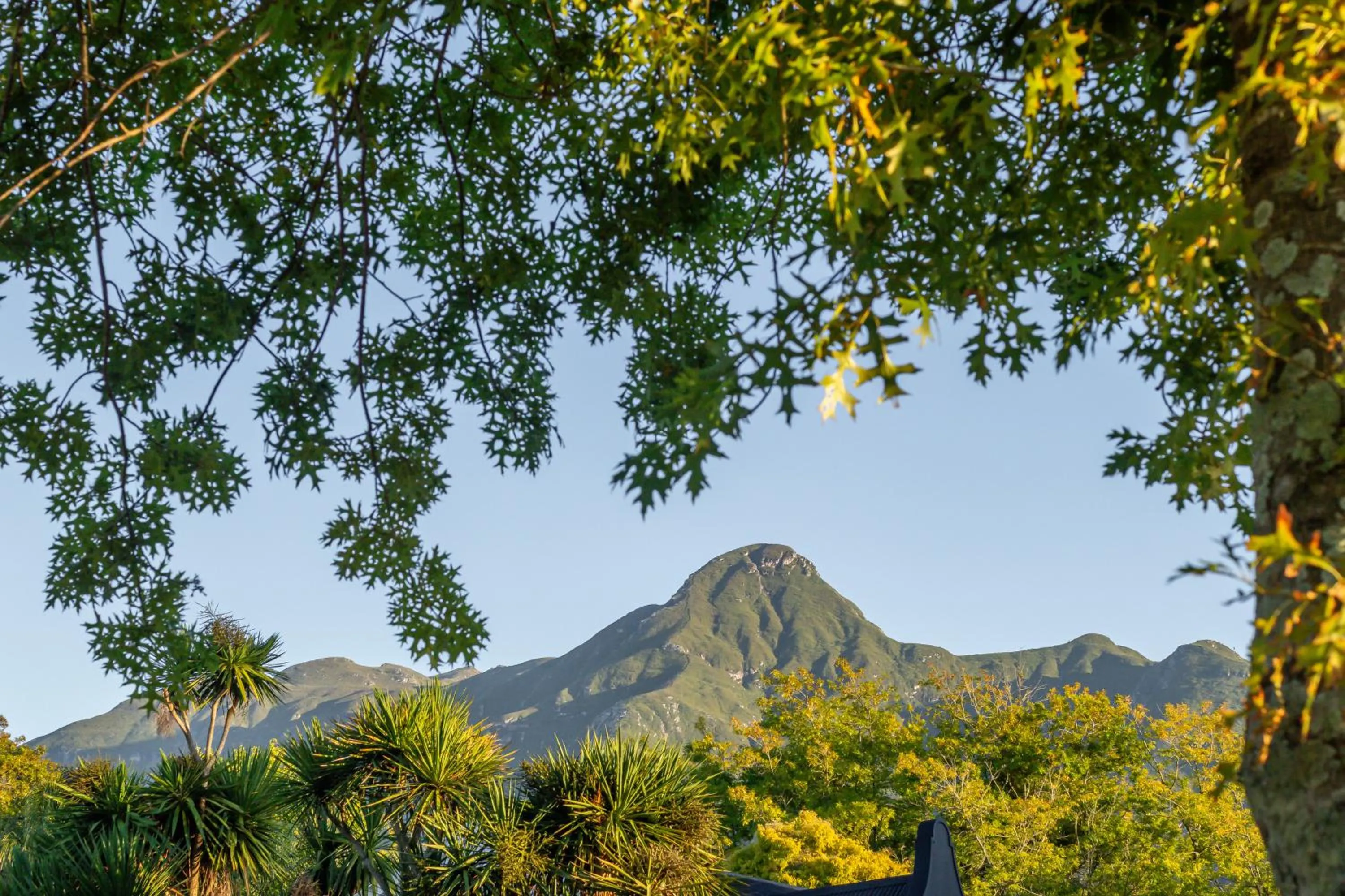Mountain view in Caledon 23 Guest House
