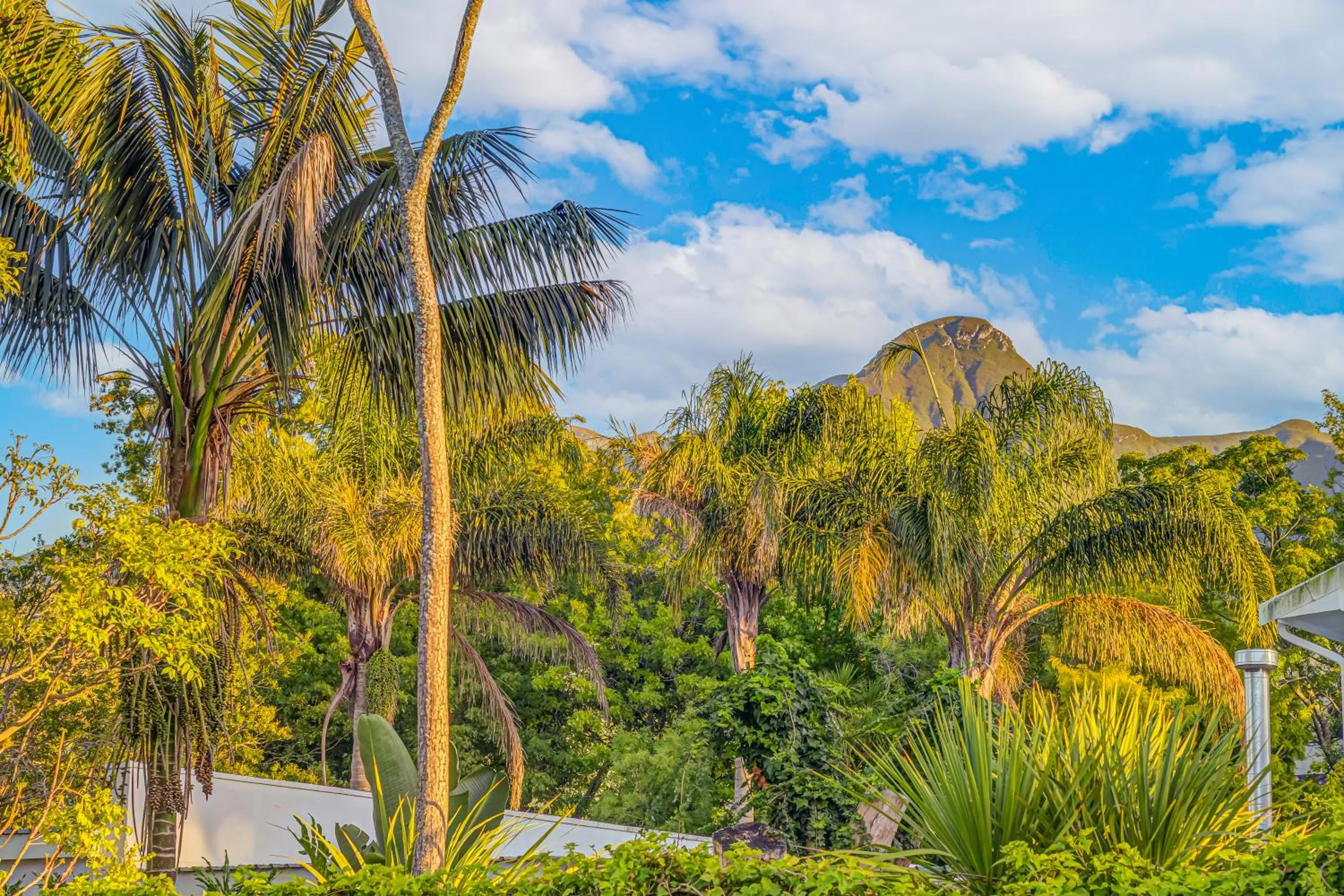 Mountain view in Caledon 23 Guest House