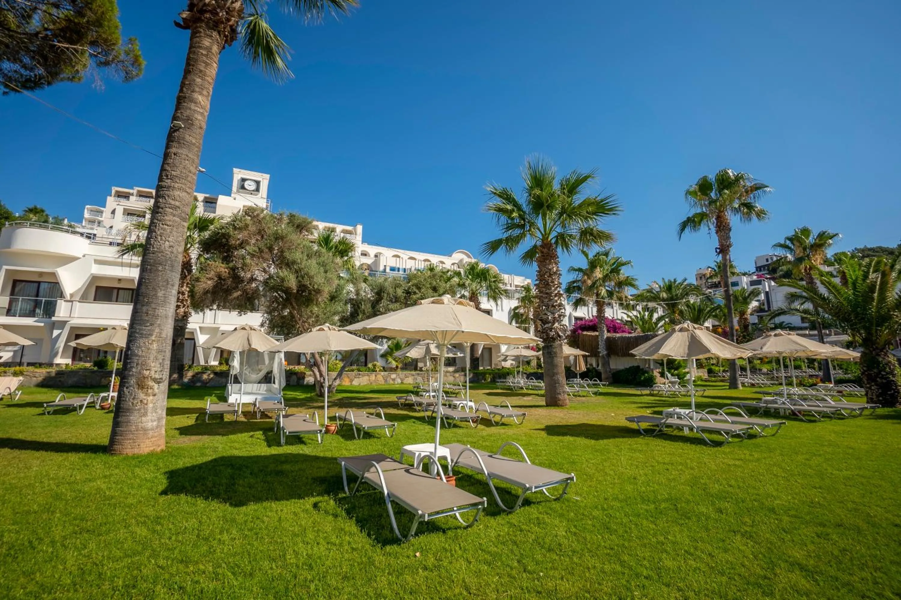 Garden in Azka Hotel